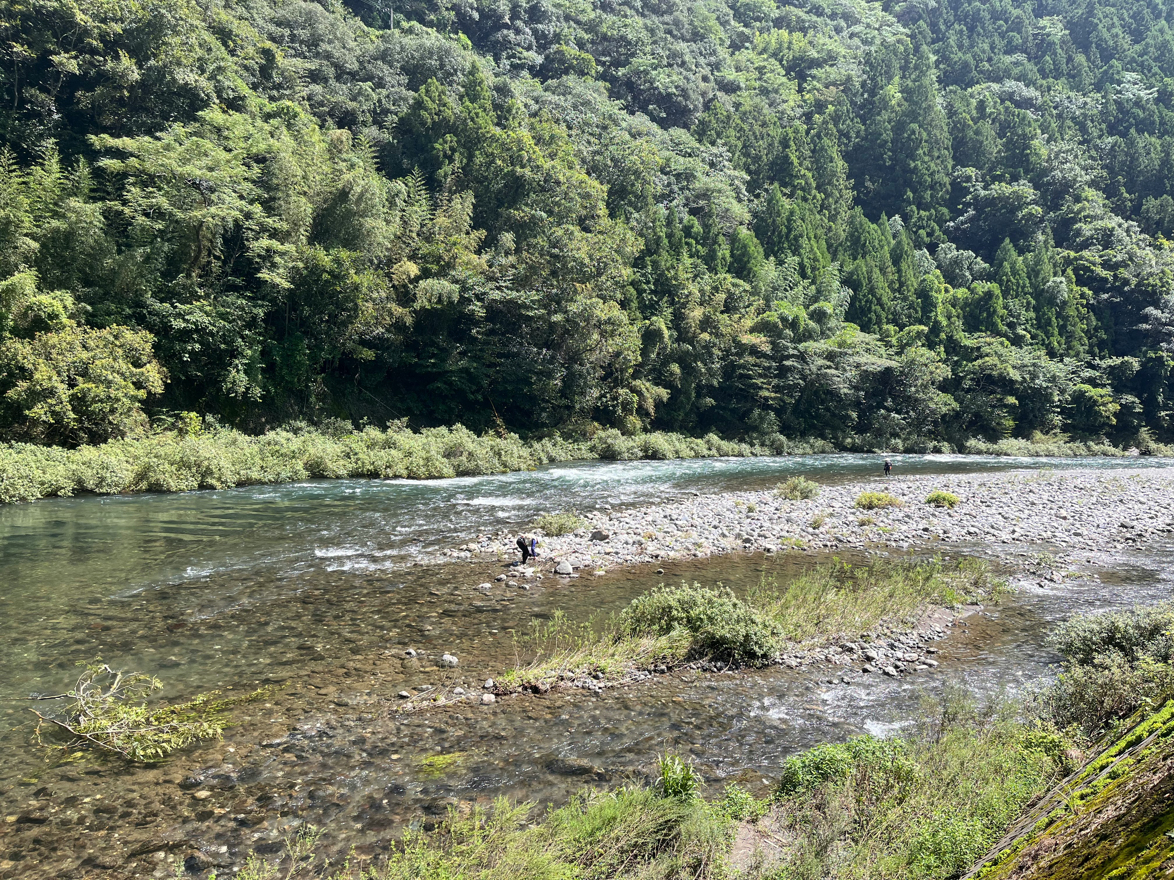 paesaggio di valle fluviale verde e rigoglioso