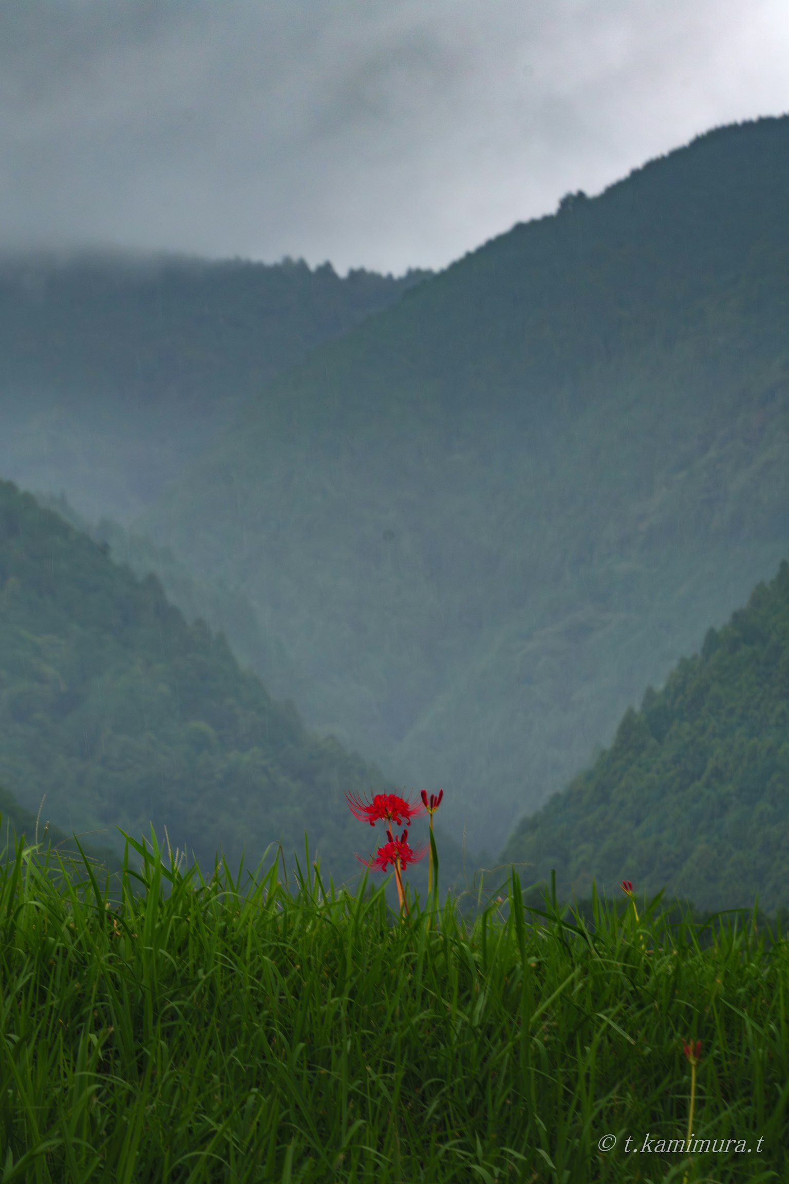 Desain kotak abu-abu sederhana di latar belakang gelap