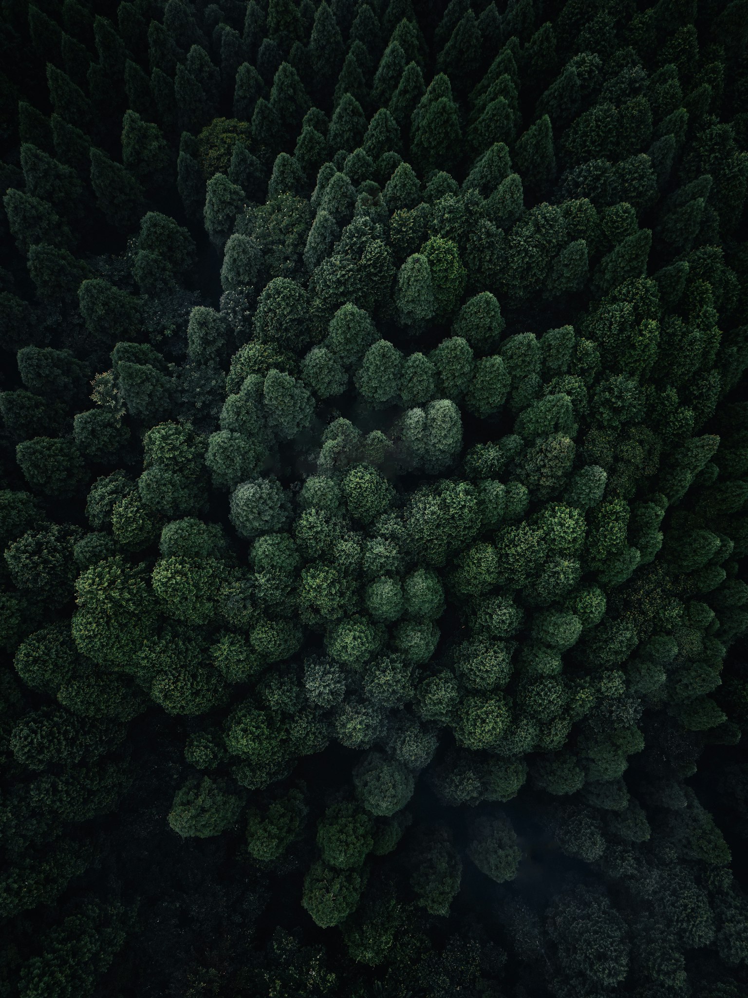 photo-SHdvDX3OyYaWk8uwkGEM-image