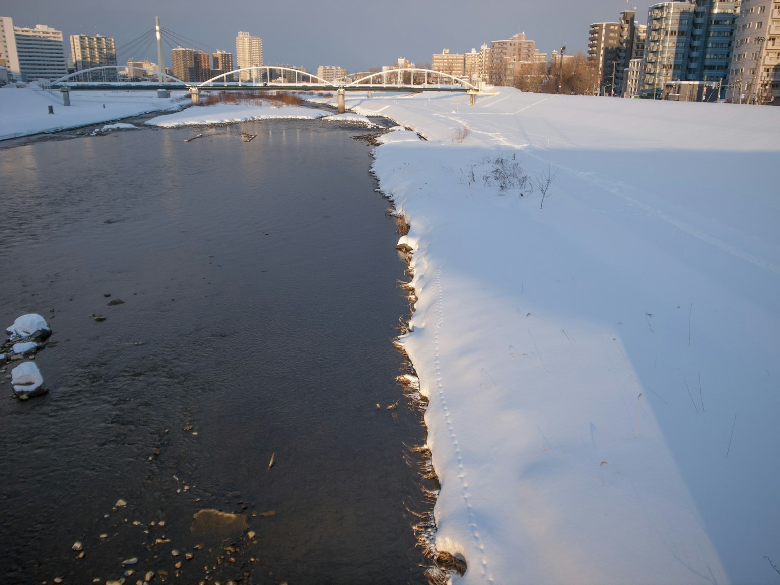 被雪覆盖的河岸和城市天际线