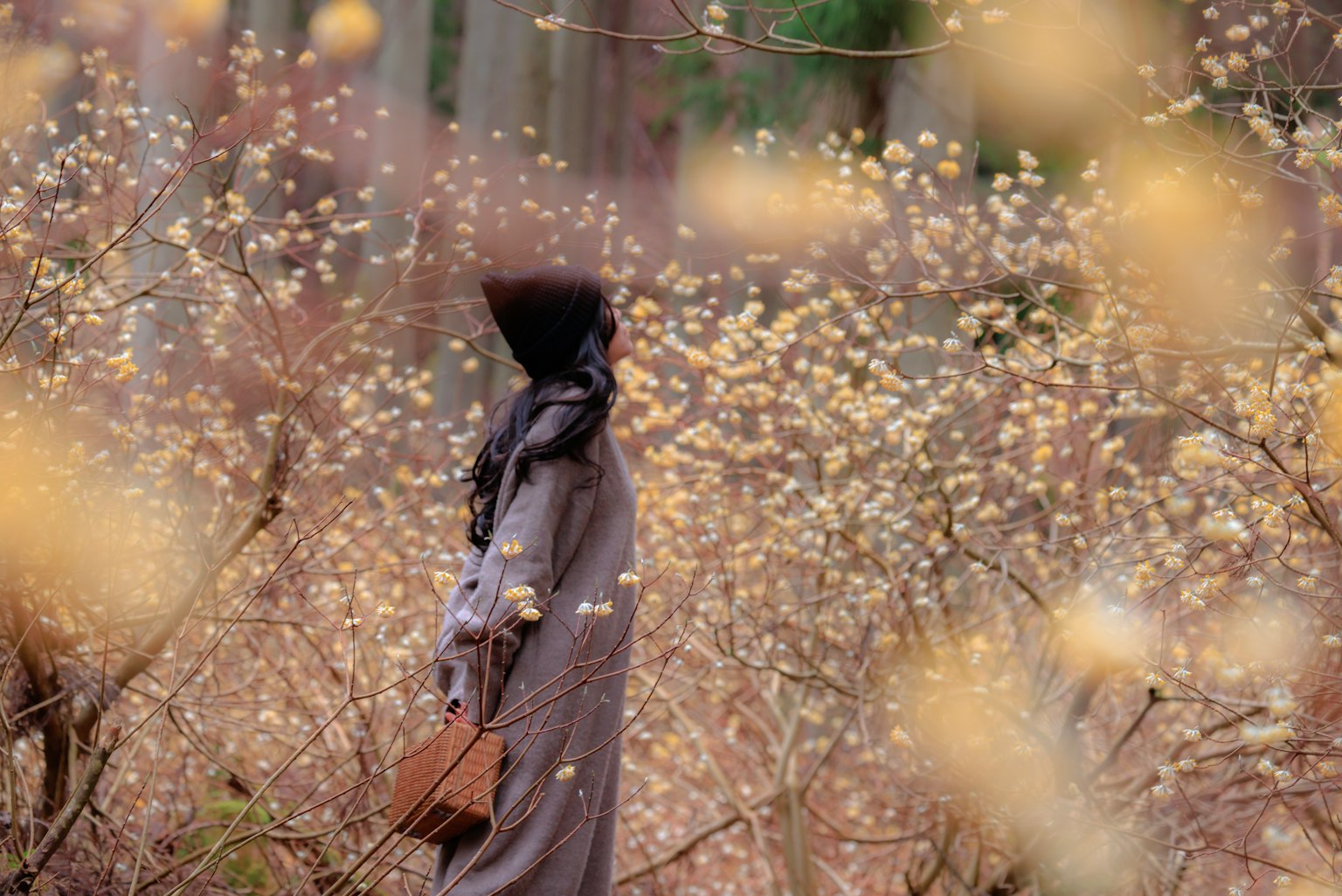 一位女性站在开花的森林中，周围是柔和的黄色花朵