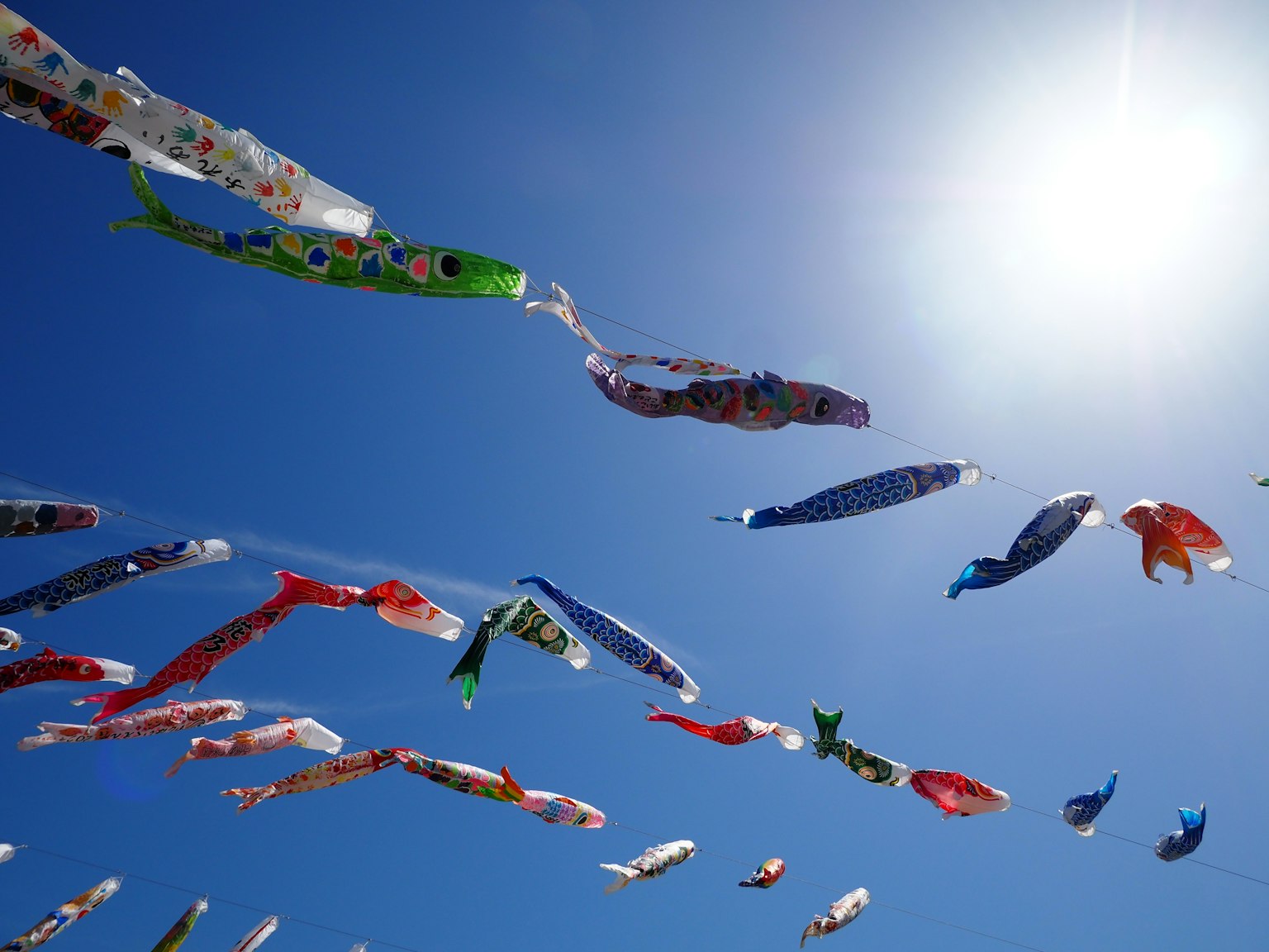 Bunte Koinobori, die unter einem klaren blauen Himmel fliegen