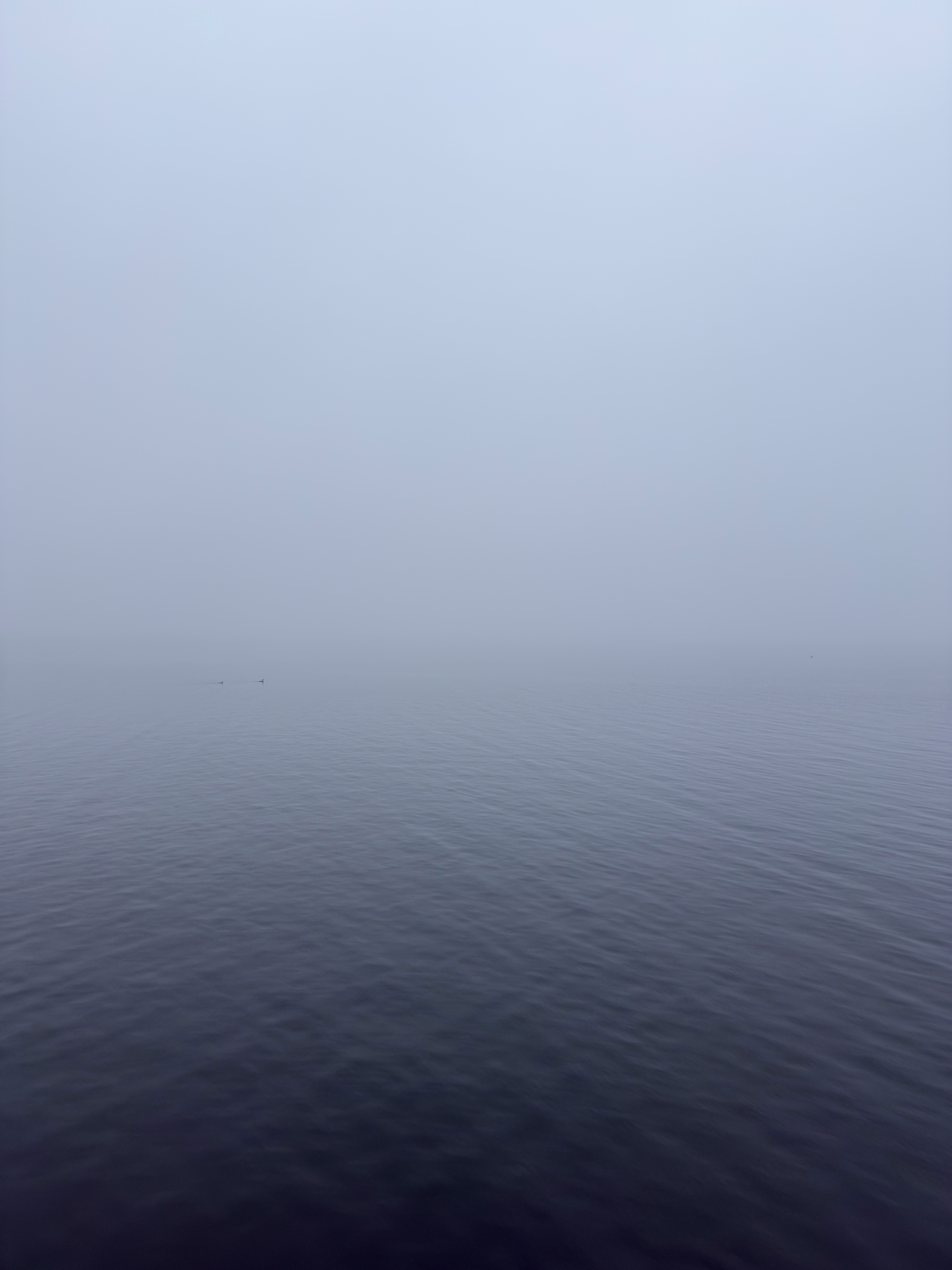 霧中的湖面與寧靜地平線