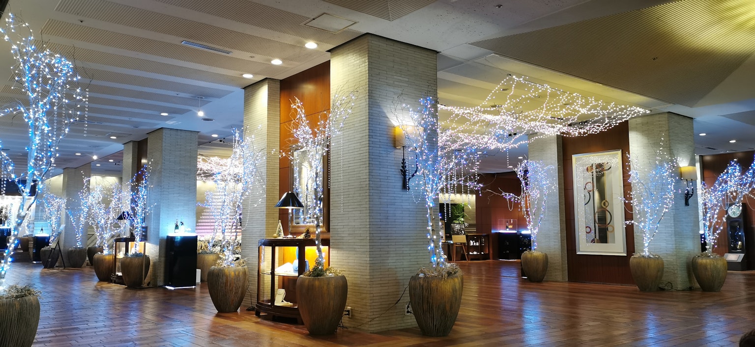 Luxurious lobby with bright lighting and decorative plants