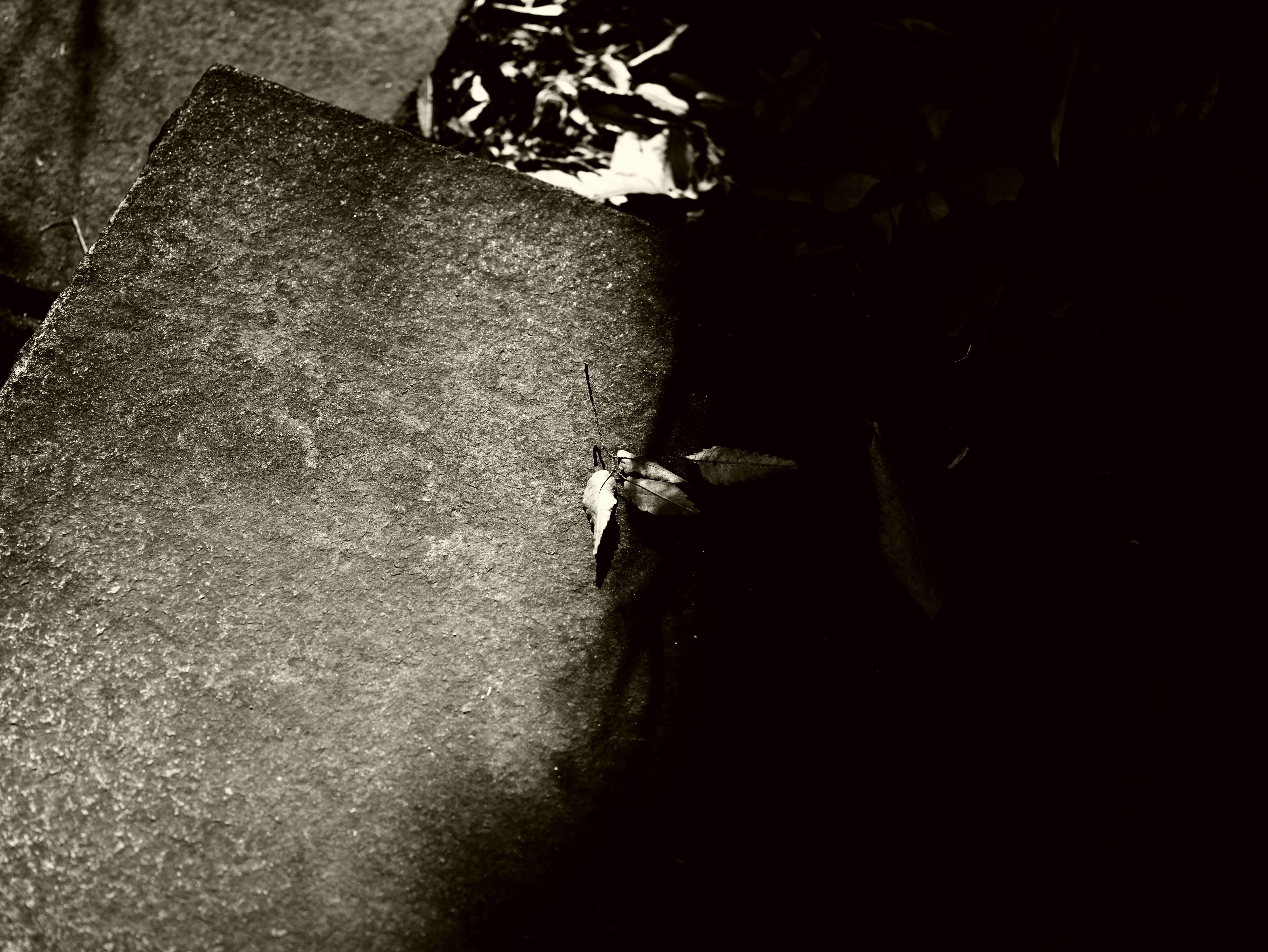 A dark alley corner with a concrete wall and shadows at night