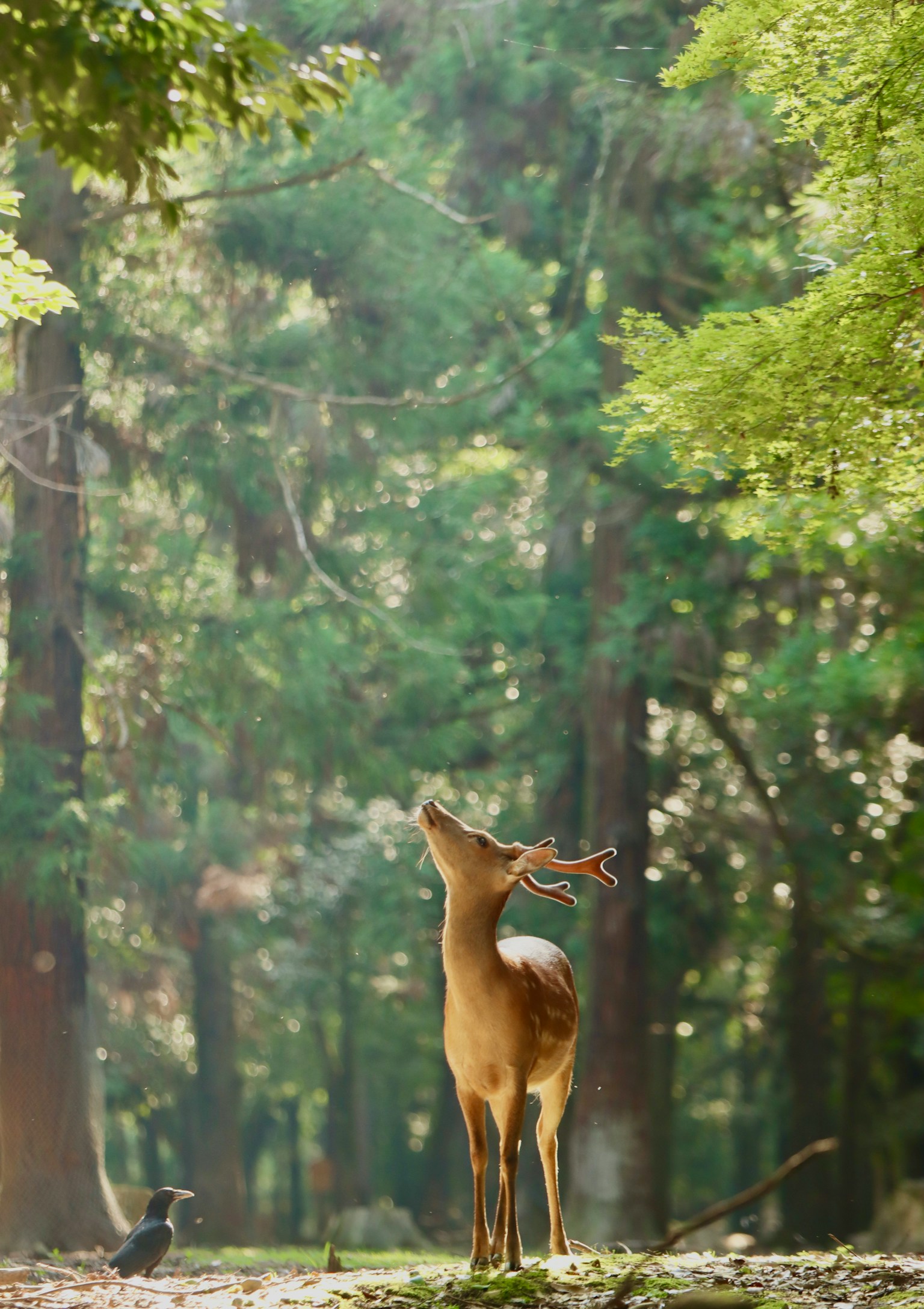 photo-SKM8W7f9SiTrw0r2omPM-image