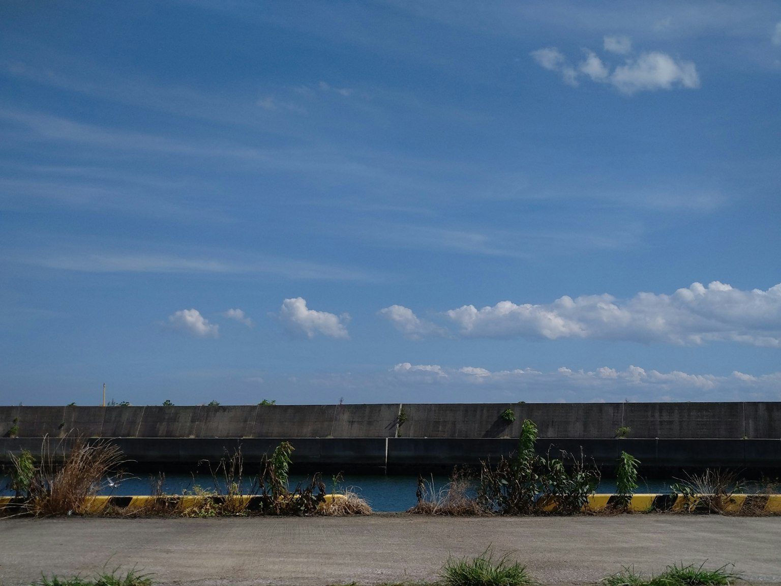 Muro de concreto junto al mar bajo un cielo azul con nubes dispersas y vegetación descontrolada