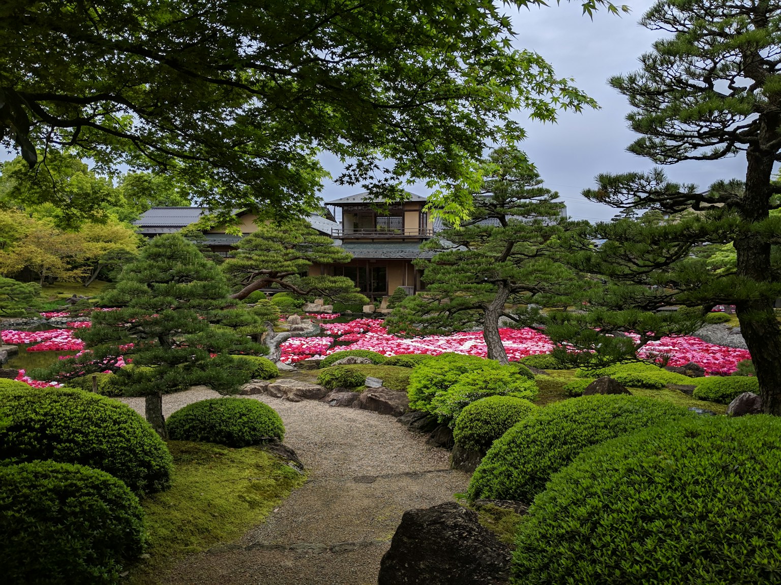 Vista panoramica di un giardino circondato da verde con azalee rosa in fiore e un sentiero centrale