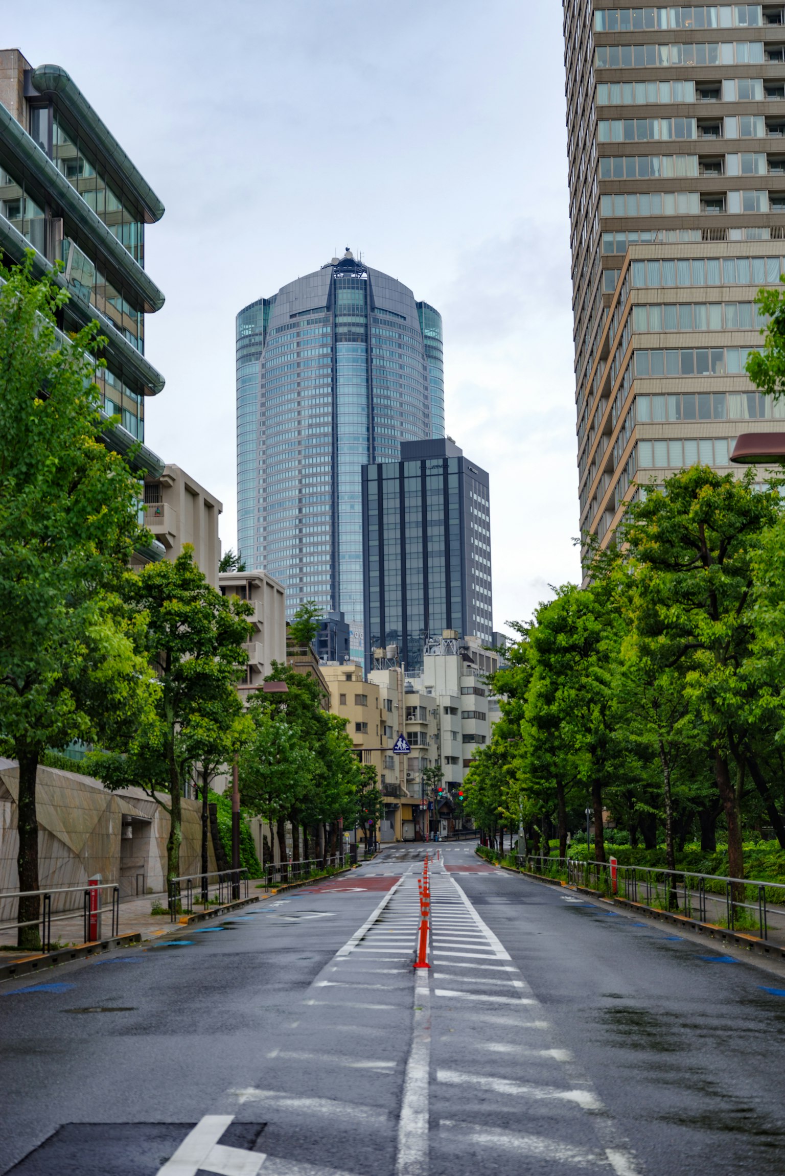 Une rue de la ville bordée d'arbres avec de grands immeubles en arrière-plan