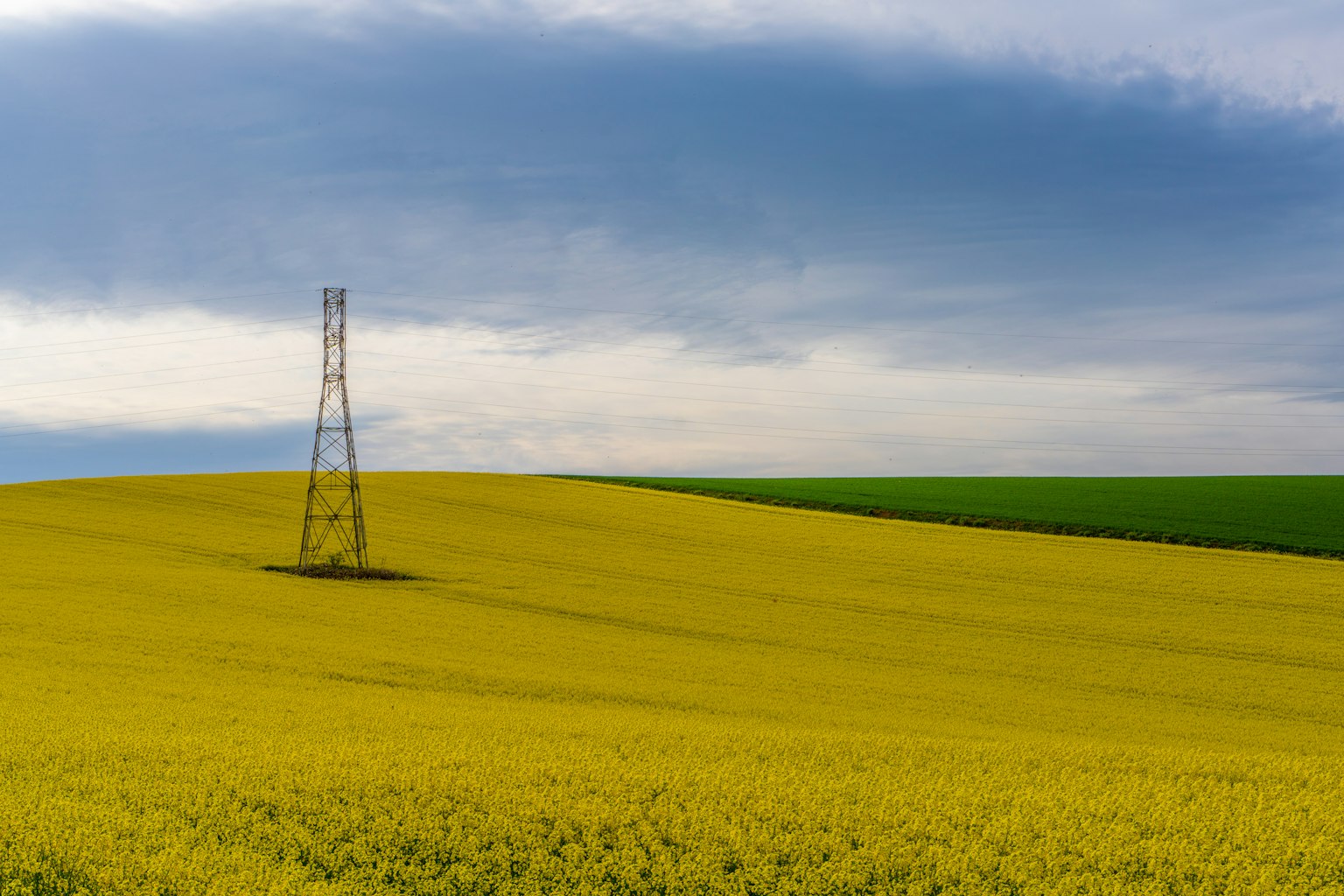 Torre de transmisión en un campo de flores amarillas con colinas verdes