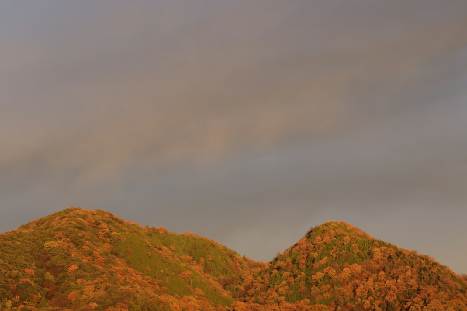 日落照亮的山丘風景