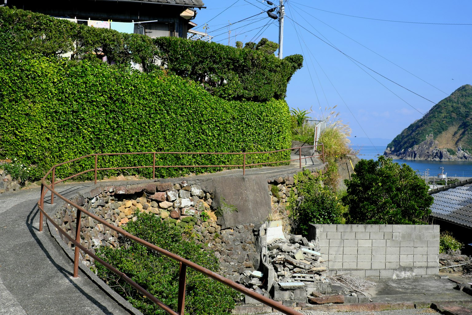 photo-SMWhWGs3nxn6YCNylfeT-image