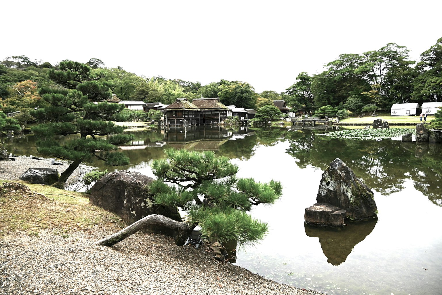 宁静的日本花园，池塘、石头和松树