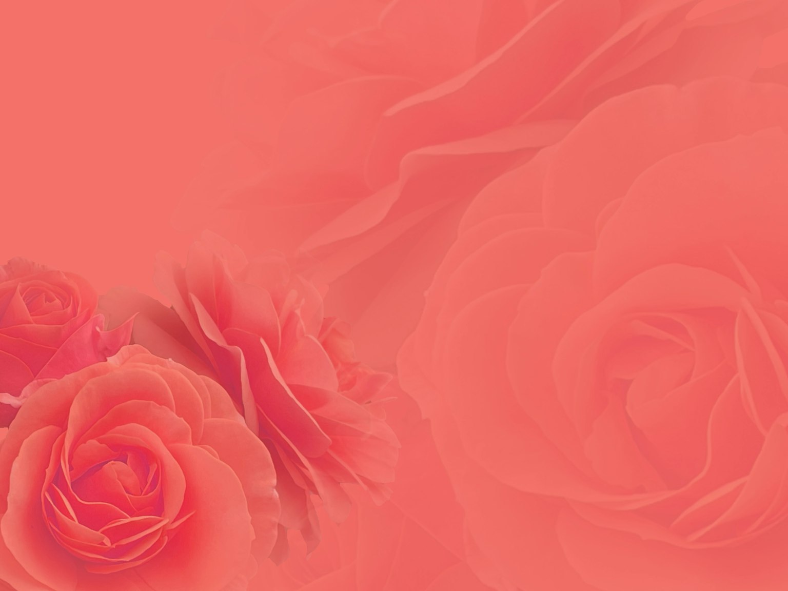 Fond rose doux avec des roses en fleurs