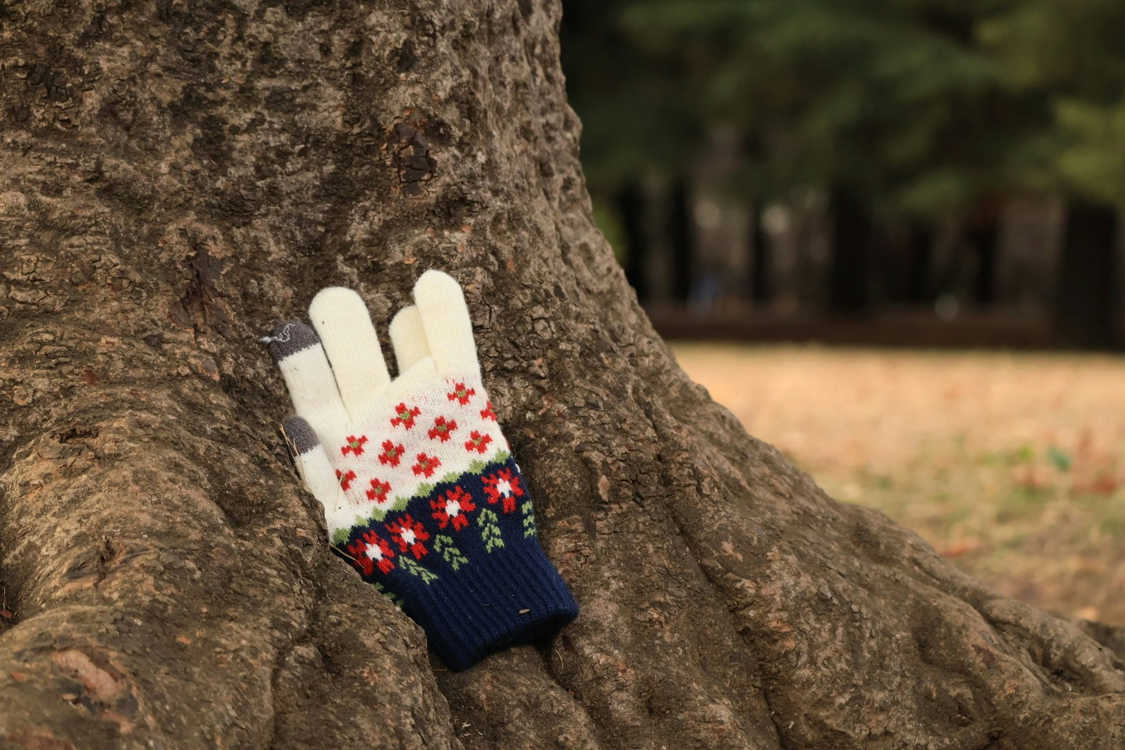 木の幹に寄りかかる手袋と花柄の刺繍