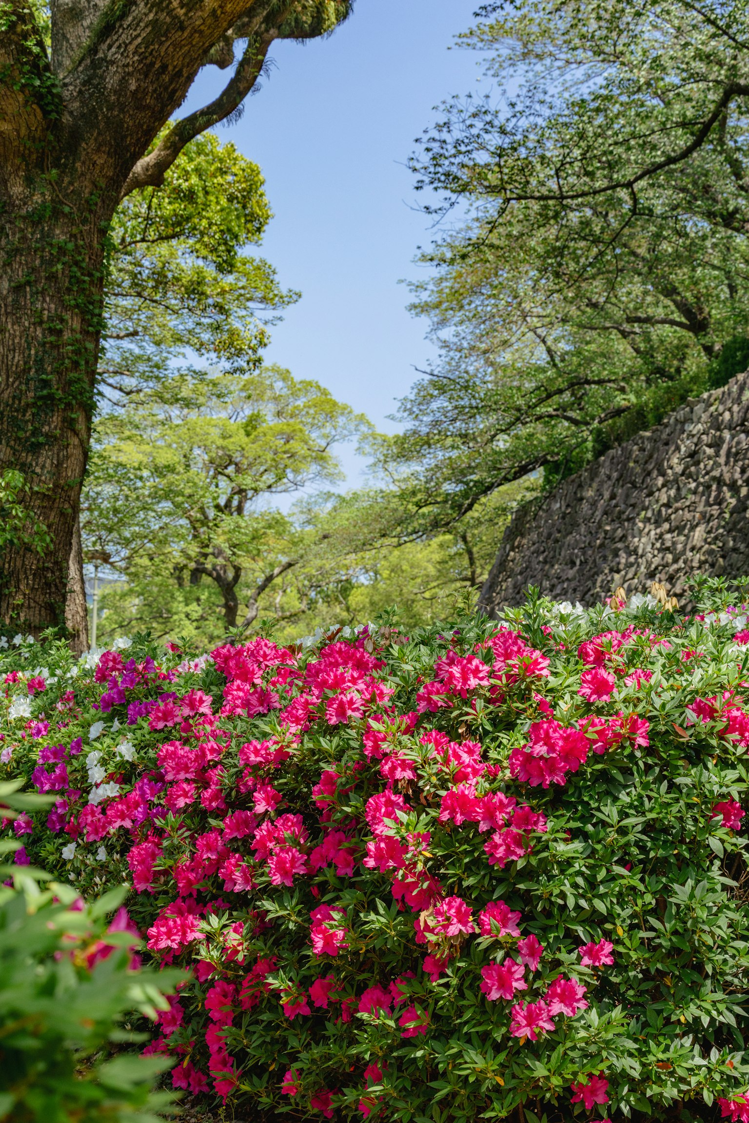 photo-SNgugCDzdaXG97W7isJ1-image