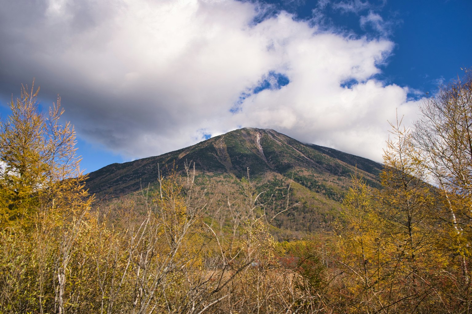 Vista escénica de una montaña con follaje otoñal y cielo azul
