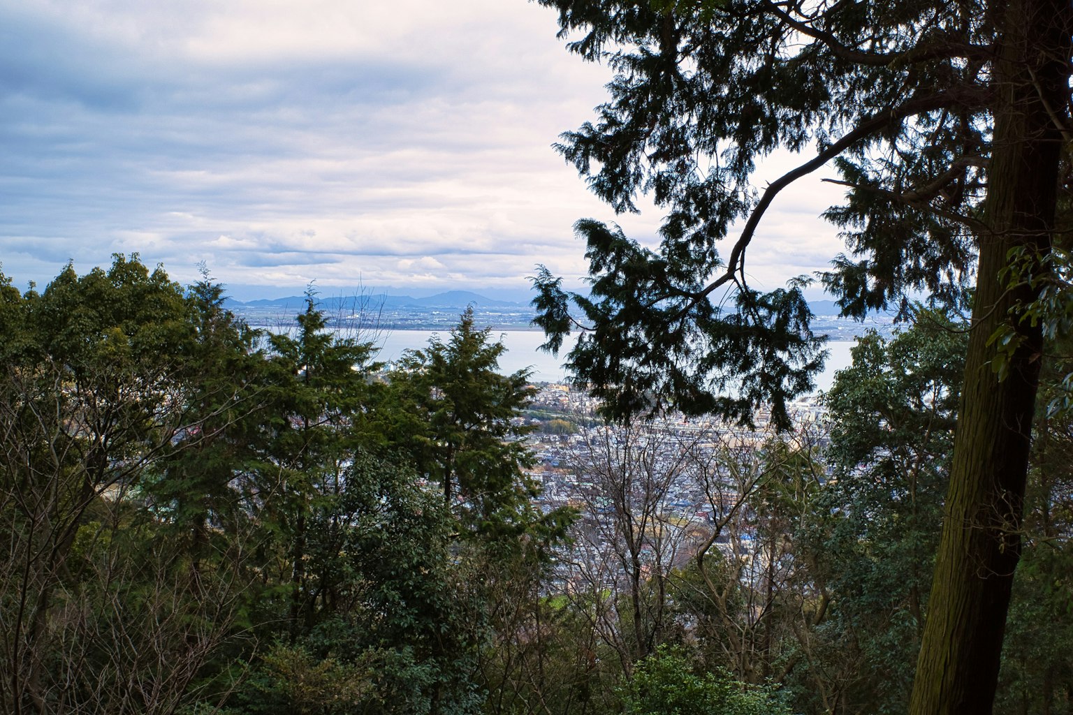 Malersicher Blick auf einen ruhigen See durch üppige Bäume