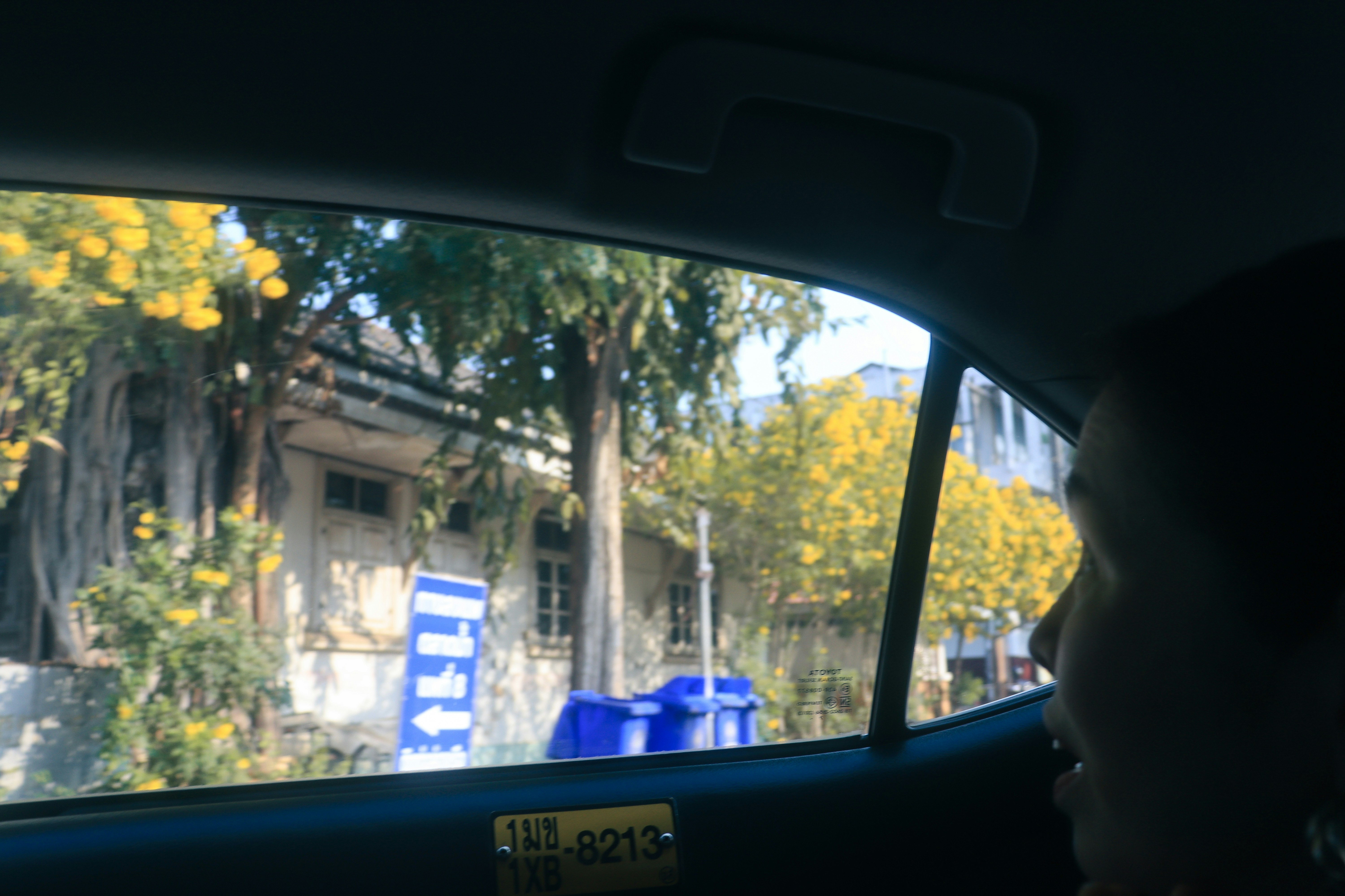 車窓から見える街路と木々の並ぶ風景