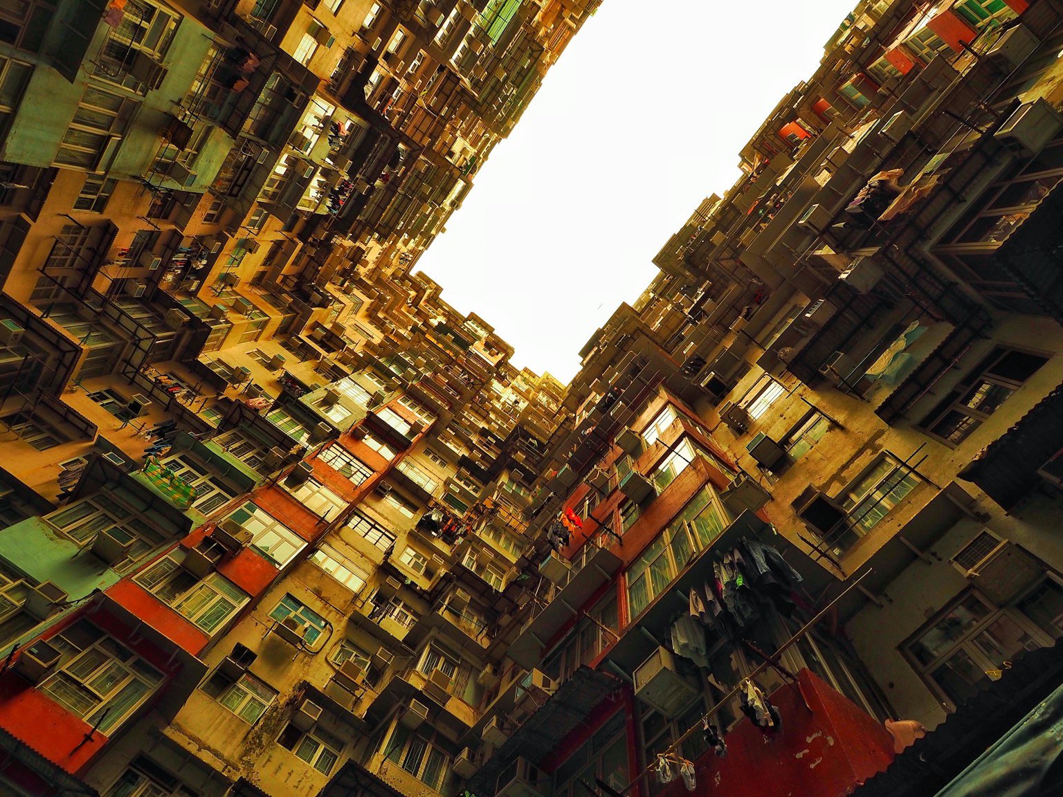 photo-SQKWBf20V4u4xPGJrkzD-image