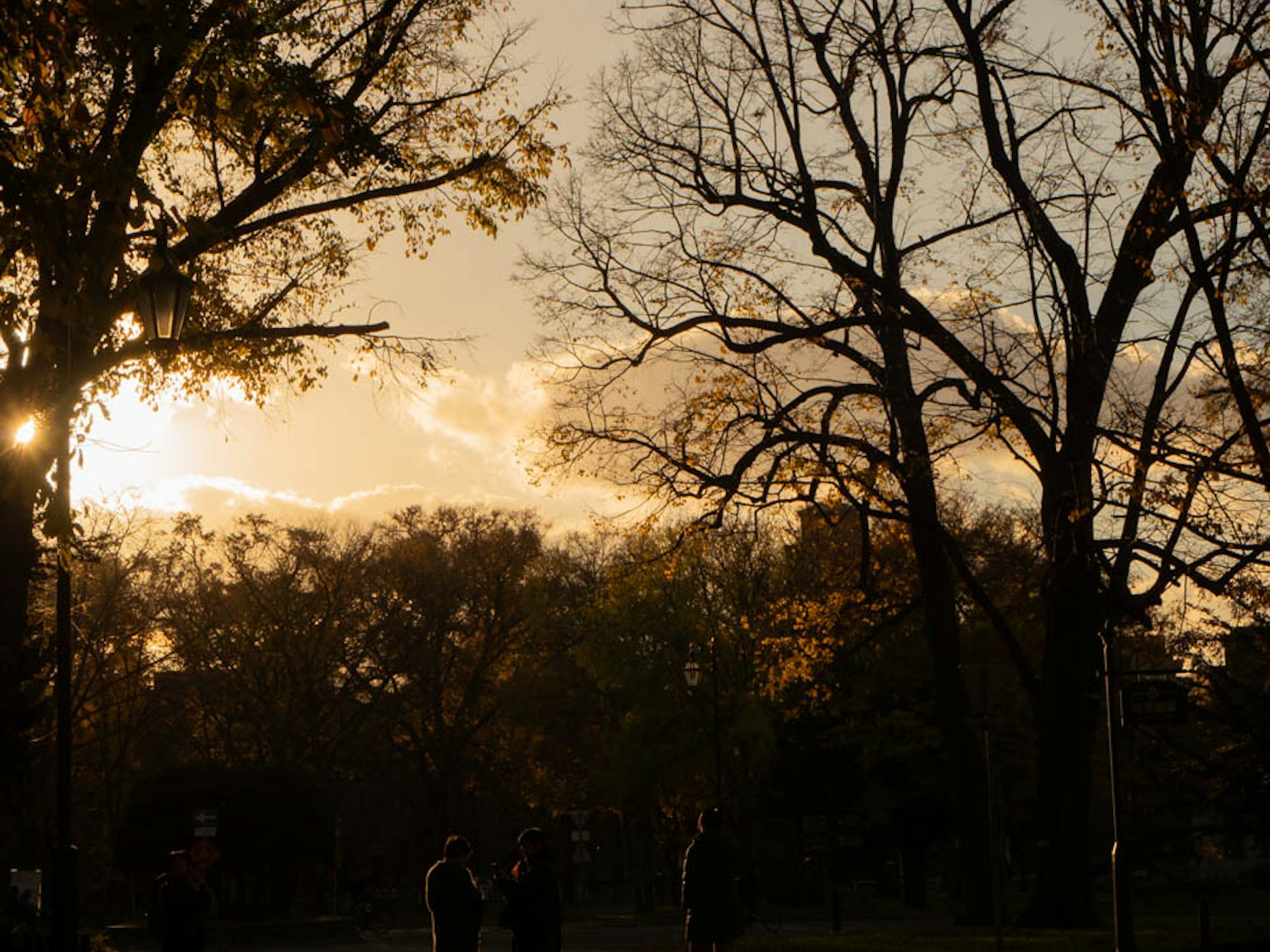 Silhouettes d'arbres et personnes marchant dans un parc au coucher du soleil