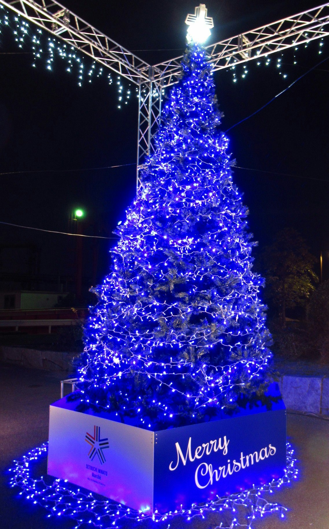 pohon Natal bercahaya biru dengan papan bertuliskan “Merry Christmas” pada dekorasi luar ruangan