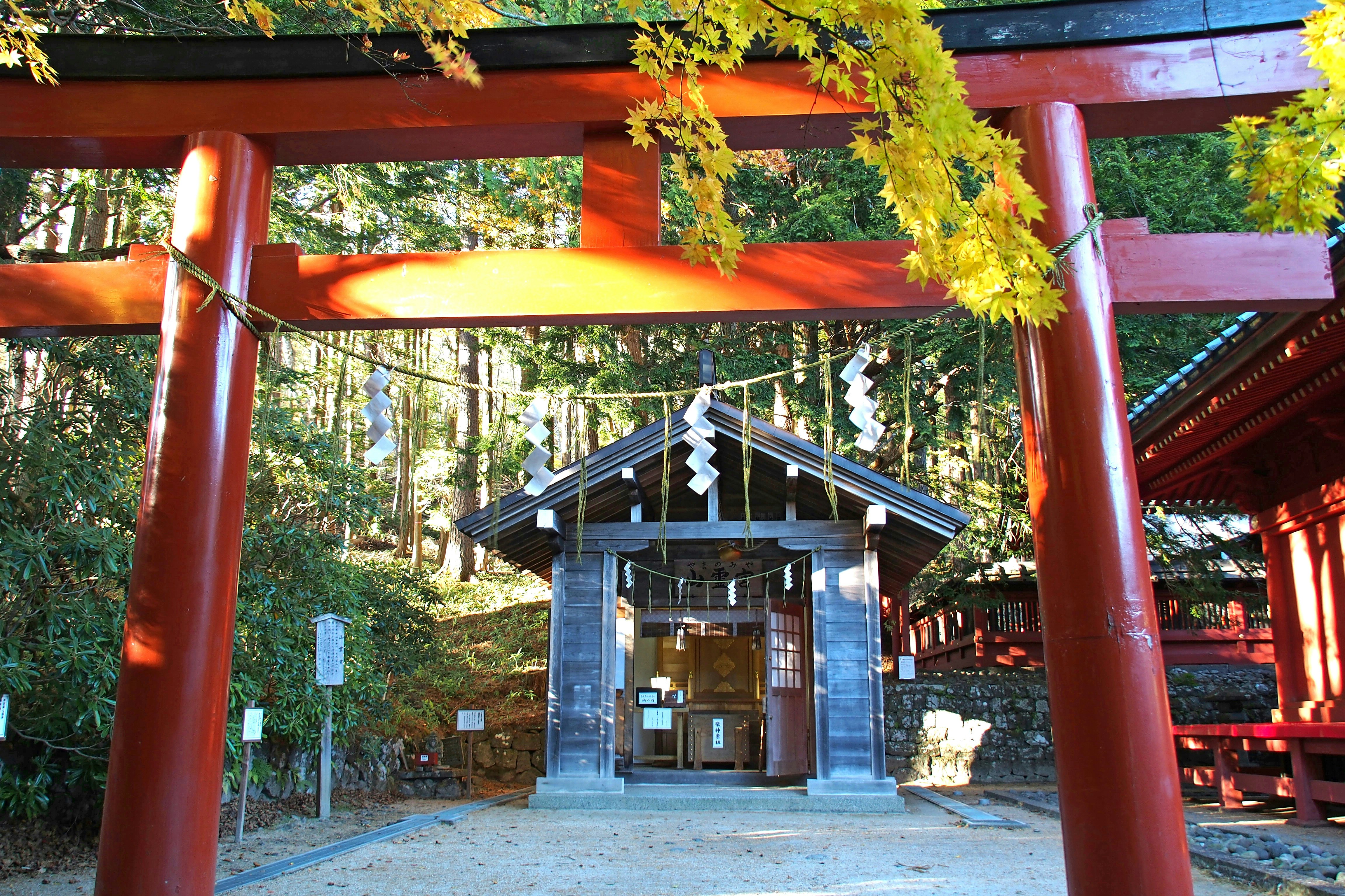 朱红鸟居框景中的木质神社
