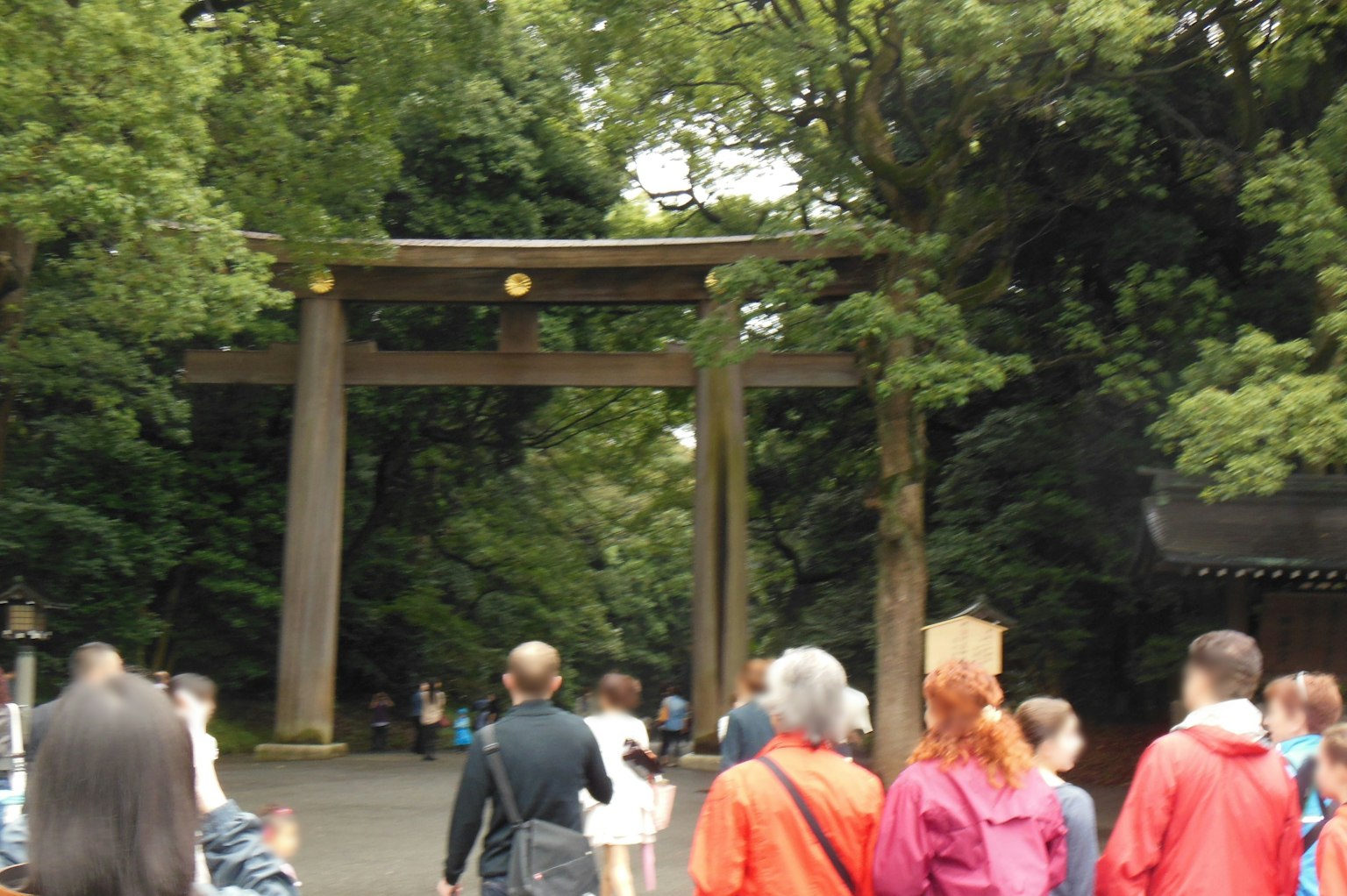 Persone che camminano davanti a un torii circondato da vegetazione