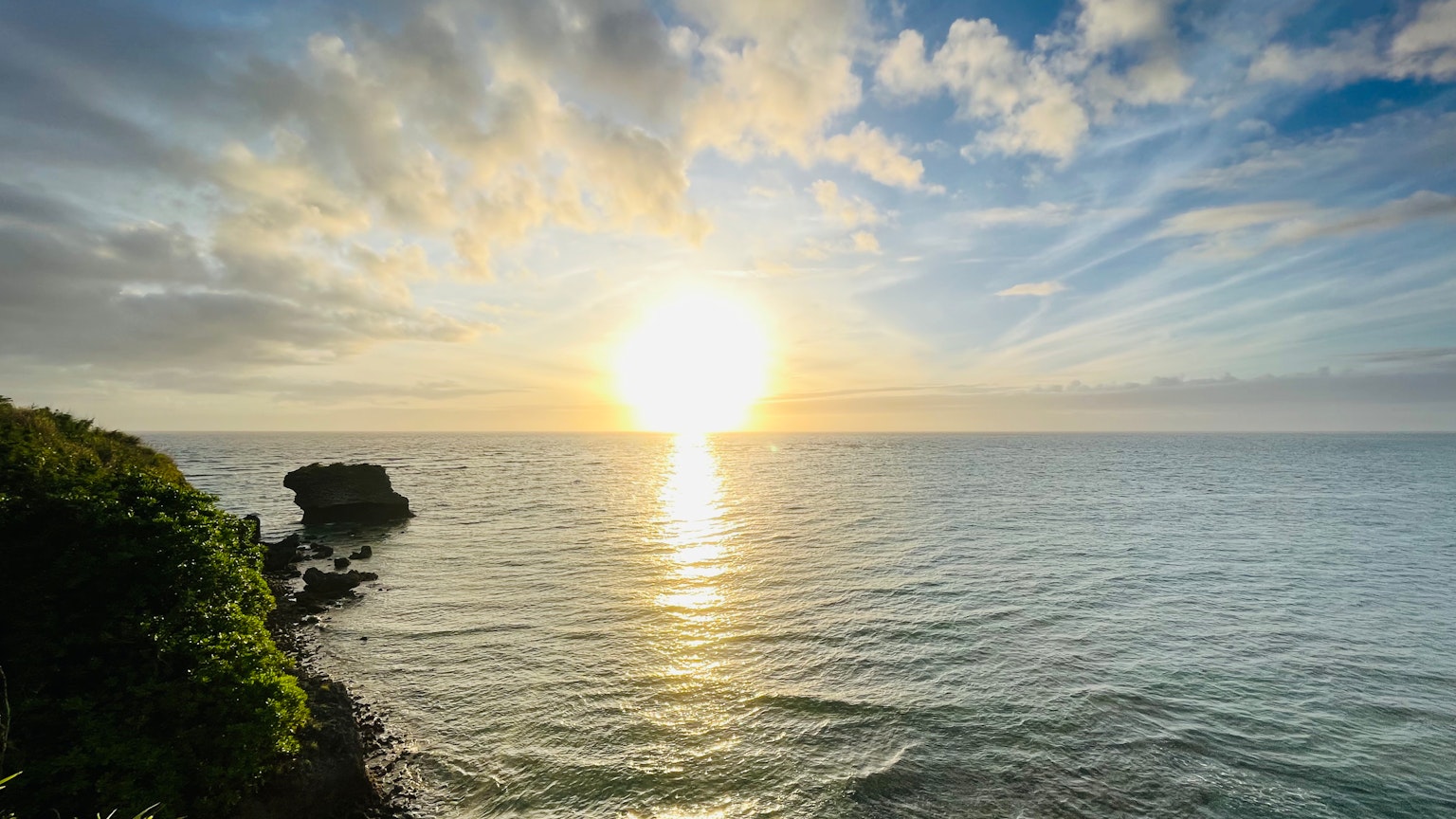 美麗的海景日出與岩石和綠植