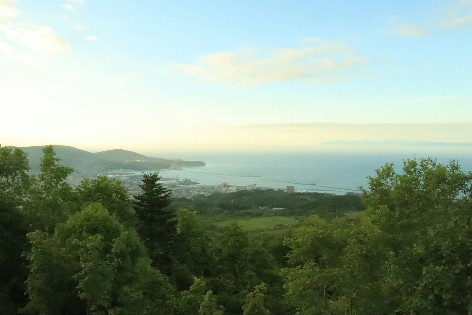 美麗的海洋景色和豐富的綠樹在前景中