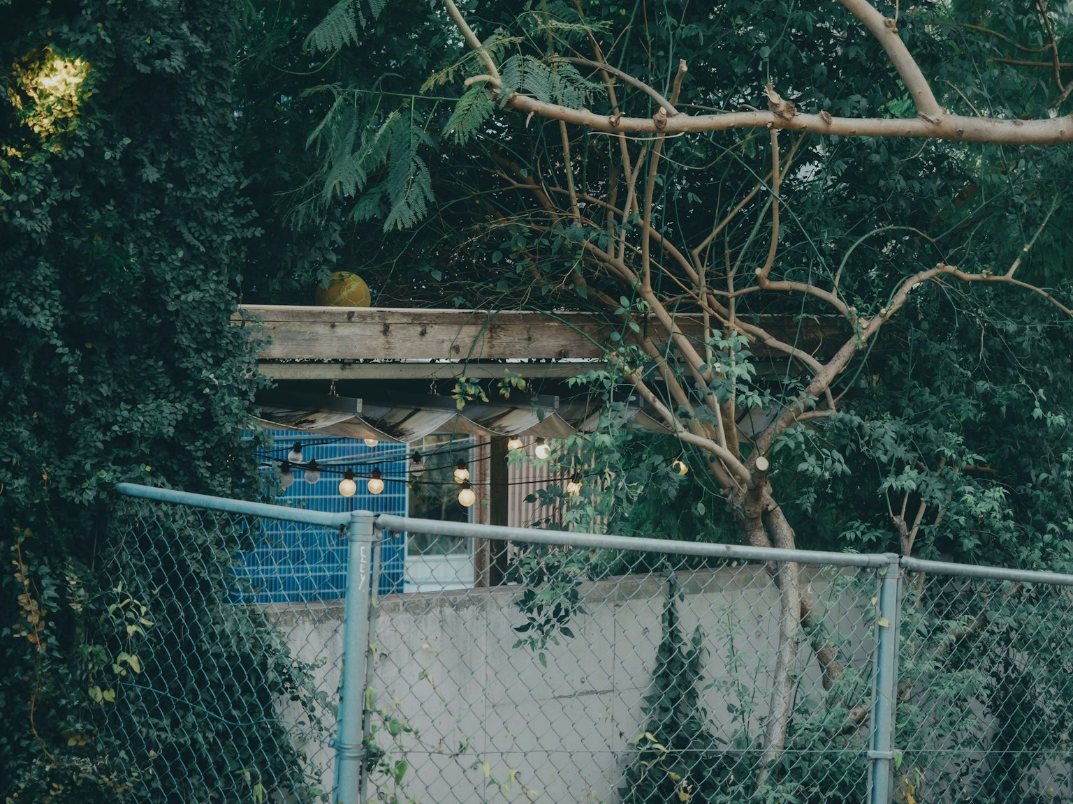 A wooden structure surrounded by greenery with blue containers visible