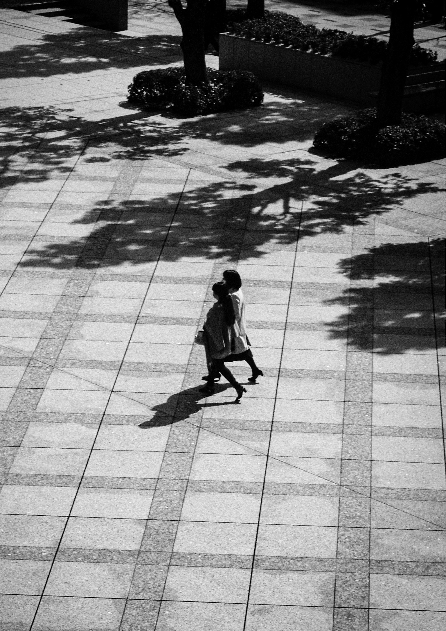 photo-SSvgdtyvKqnfNvdUUOH9-image