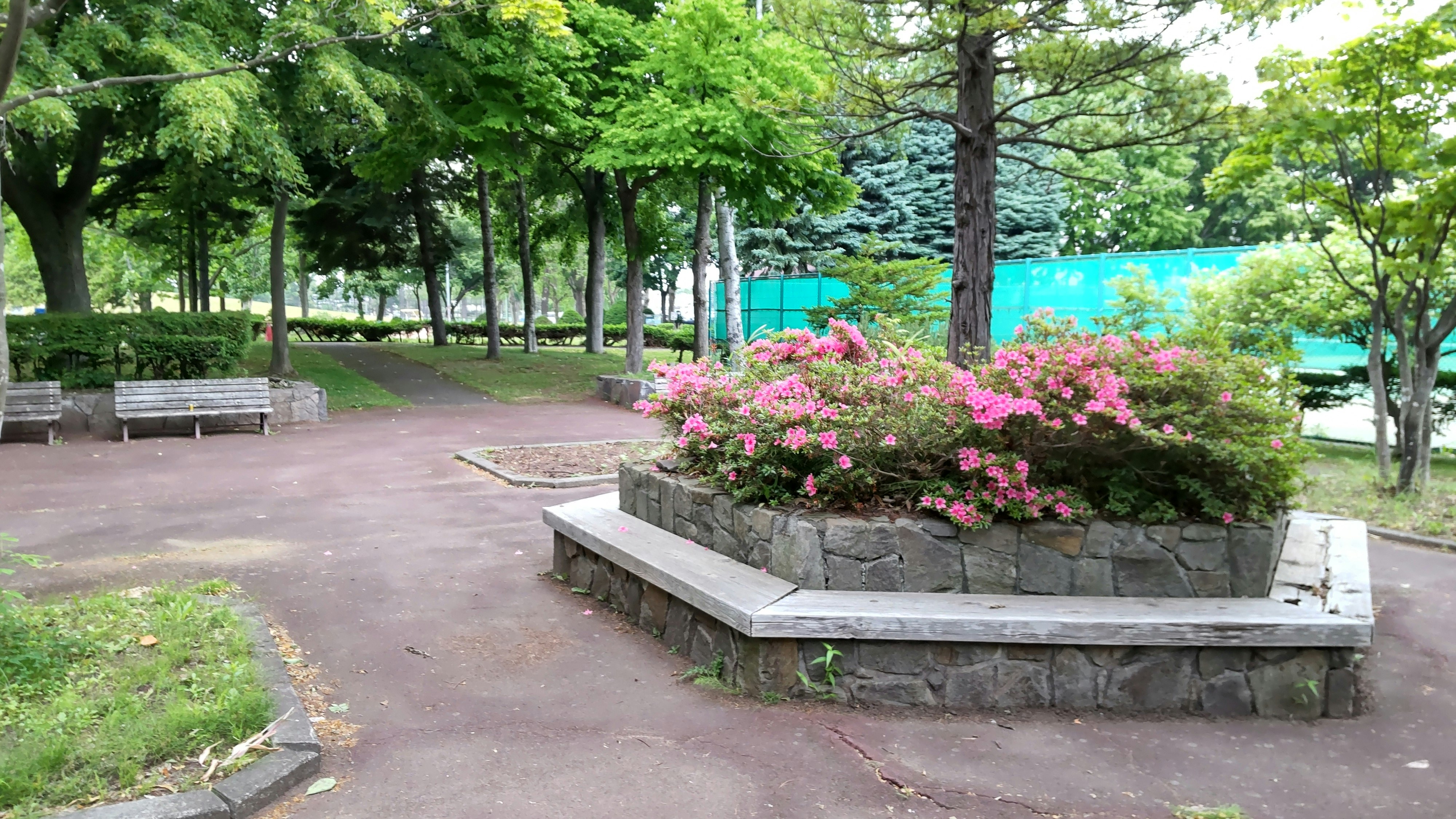 朝の公園の花壇と緑の並木の小道