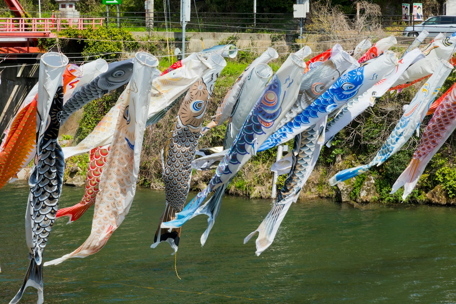 Bandiere di carpa colorate appese vicino a un fiume