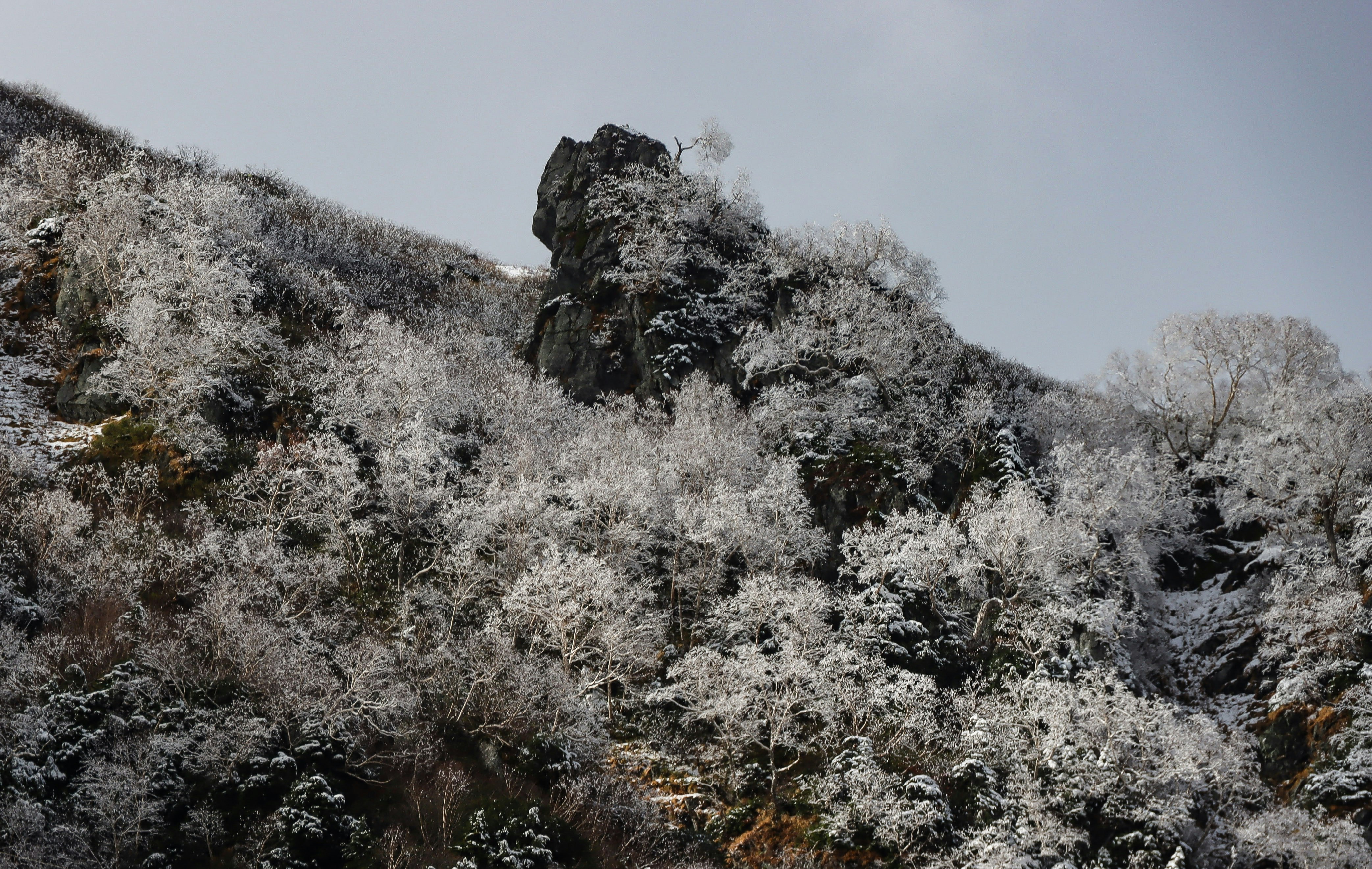 雪の積もった山の斜面と霧氷の木々