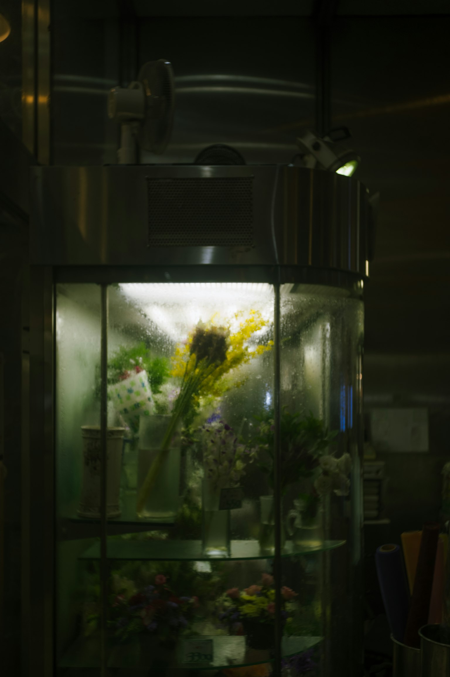 Exhibición de flores coloridas en un jarrón de vidrio
