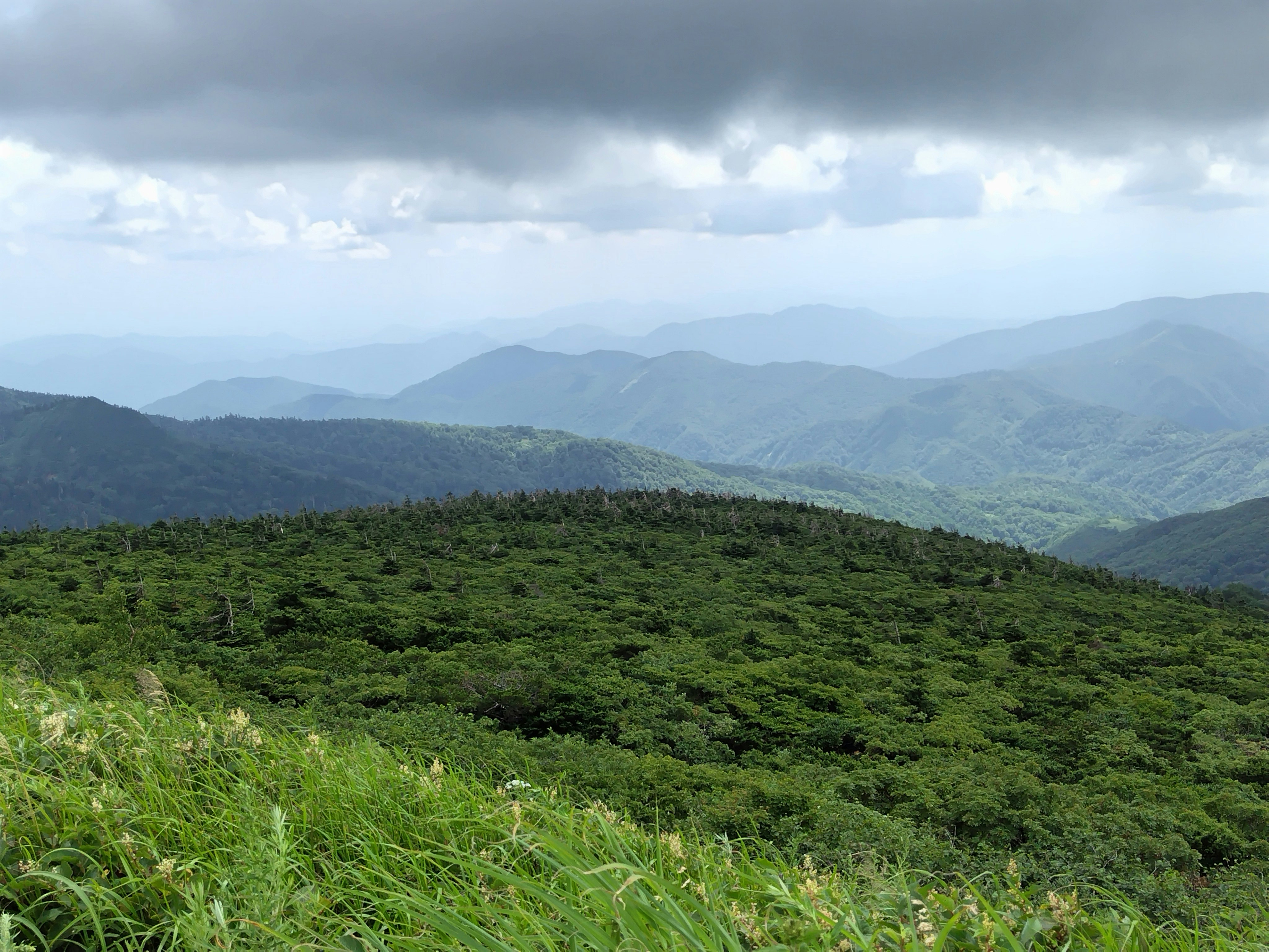 草原の手前に広がる雲のかかった山並み