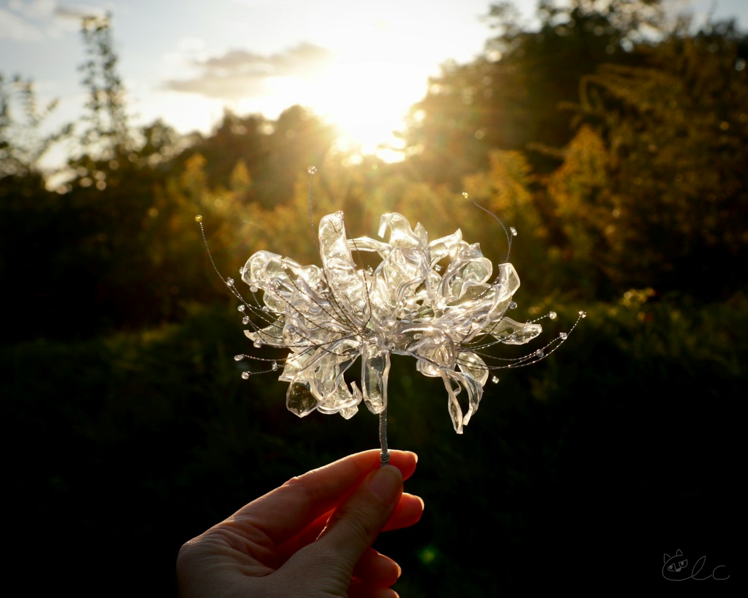 A hand holding a transparent flower object with a sunset in the background