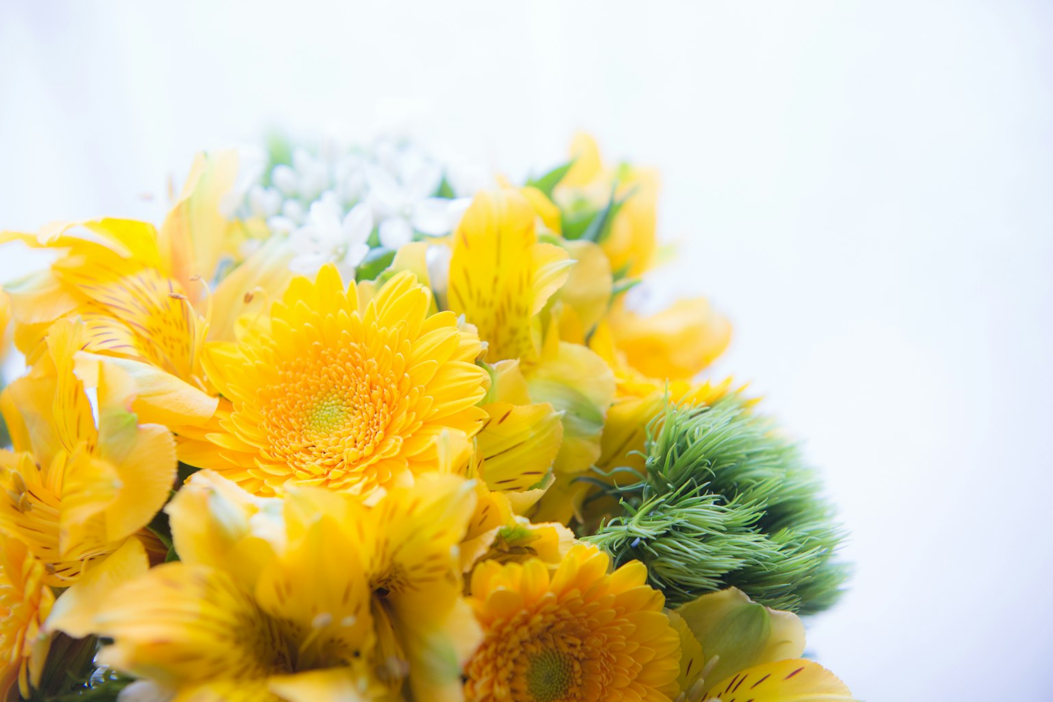 Un ramo con flores amarillas brillantes y hojas verdes