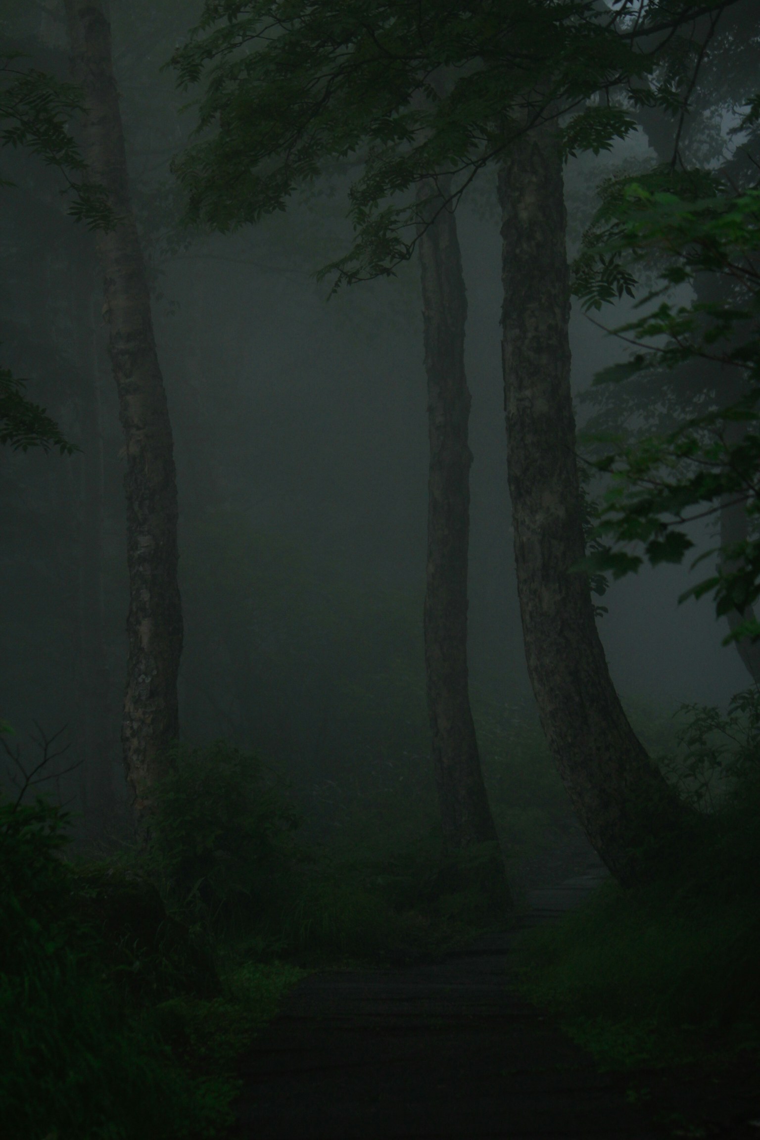 photo-SW7f4MZI6WBLQsilm7c4-image