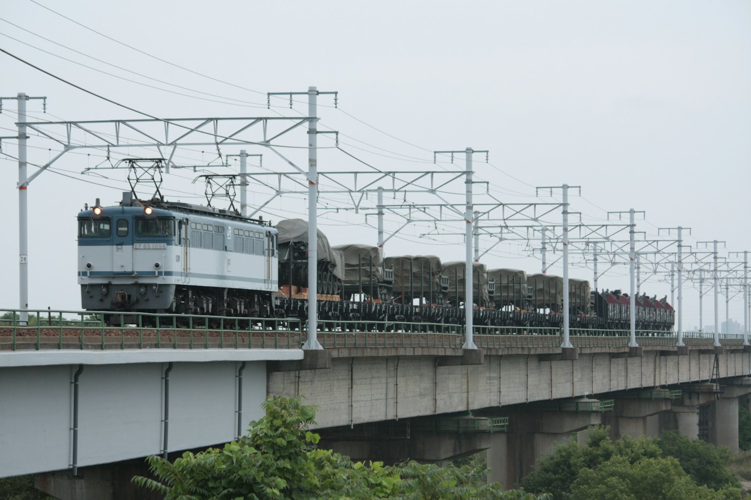 Tren de carga en un puente ferroviario con cielo gris y árboles verdes de fondo