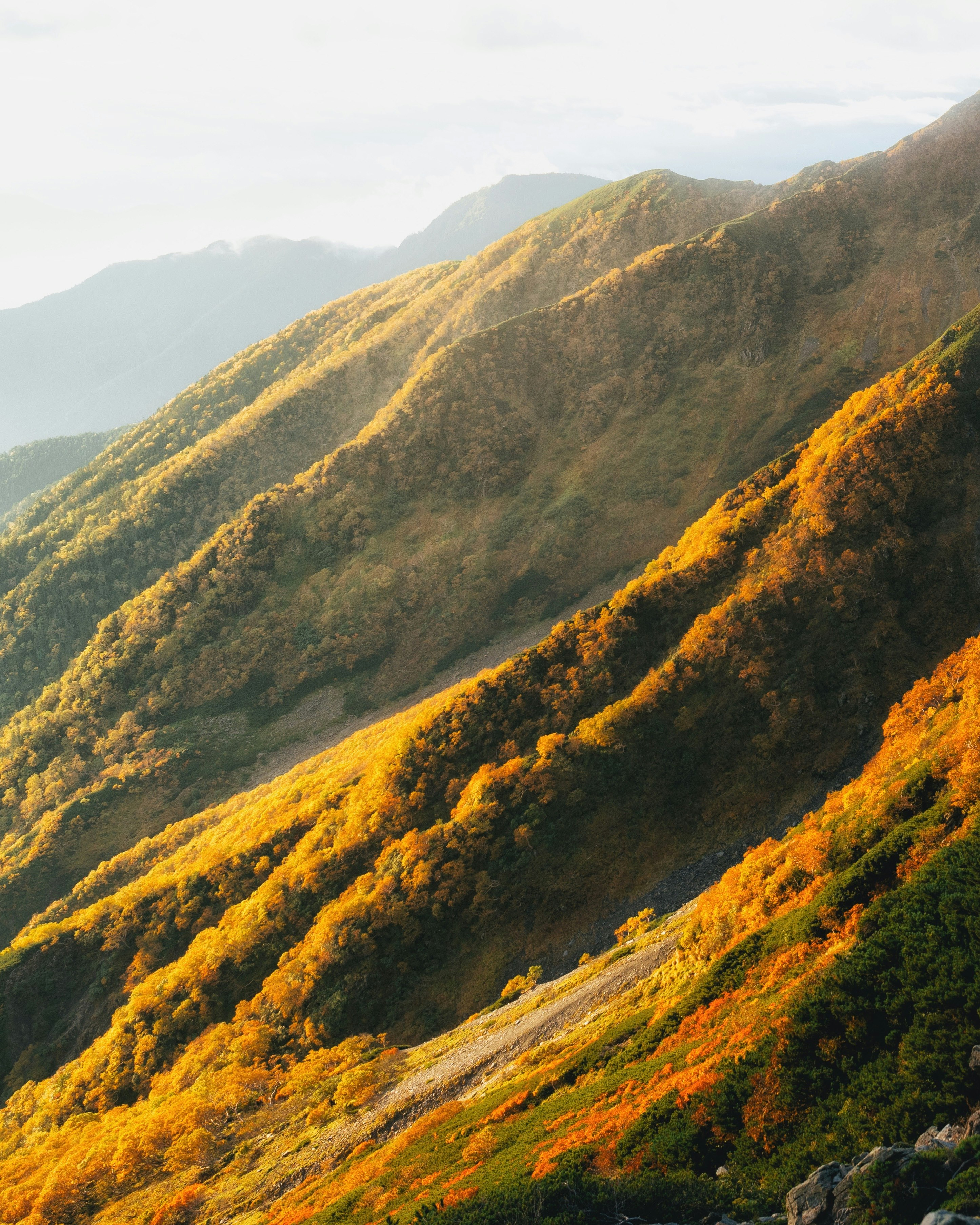 秋の山稜に広がる紅葉の斜面と稜線