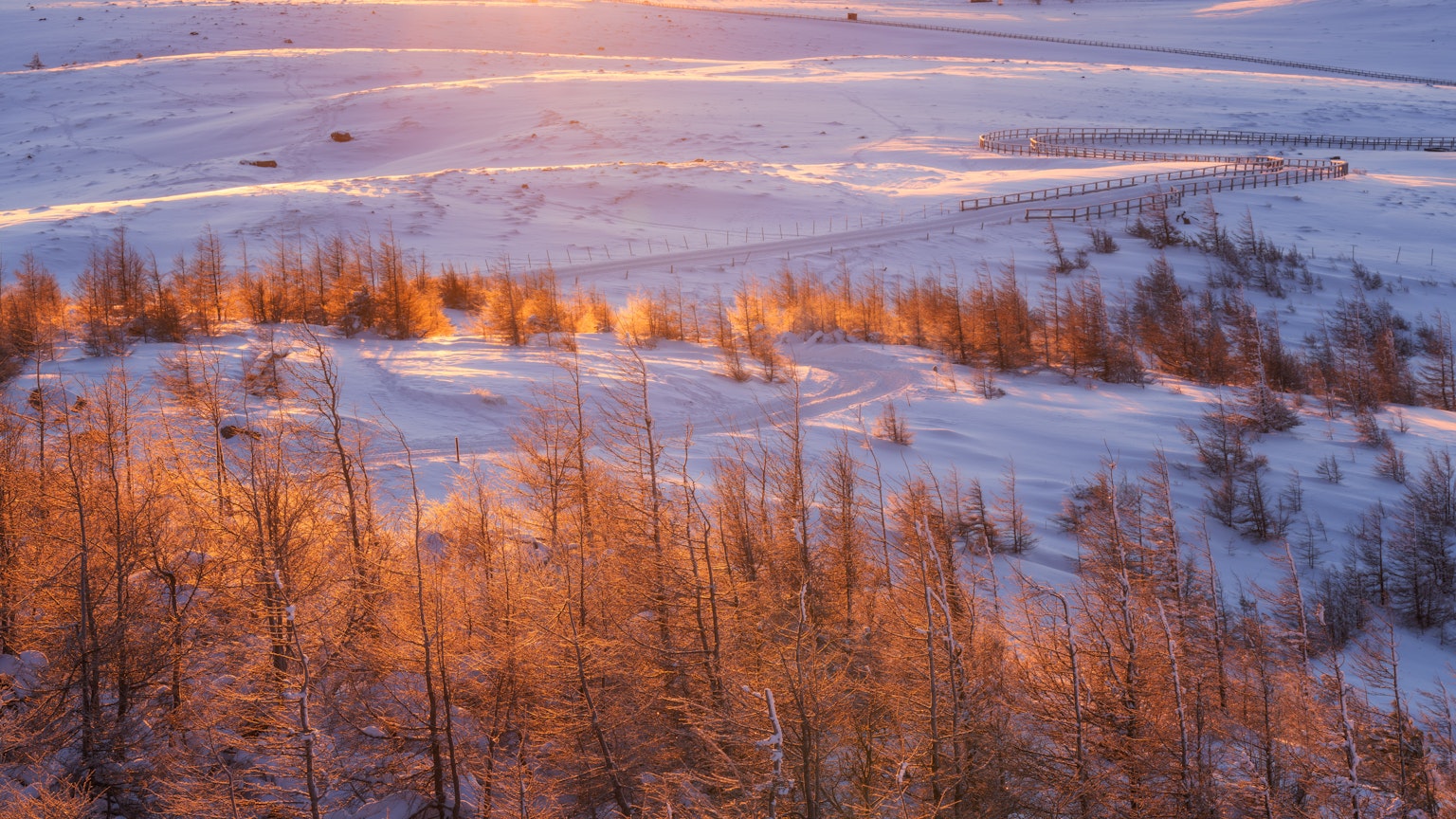 Schneebedeckte Landschaft mit von orangefarbenem Sonnenuntergang beleuchteten Bäumen