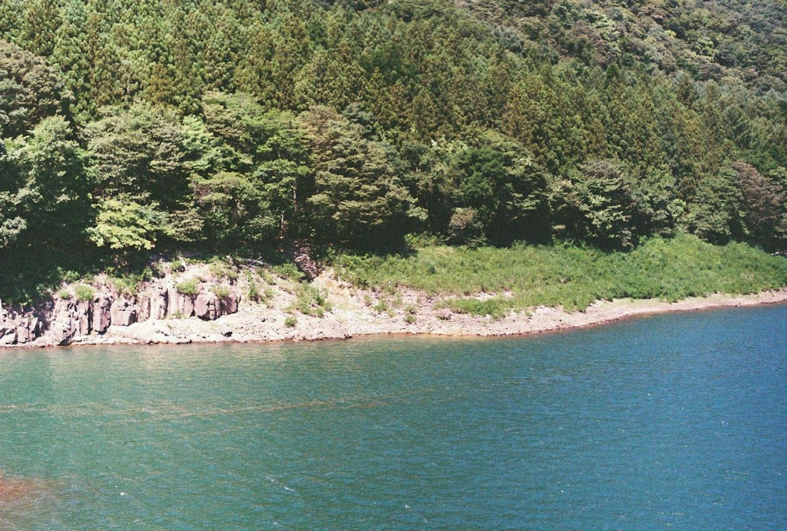 Costa serena con acqua blu e vegetazione lussureggiante
