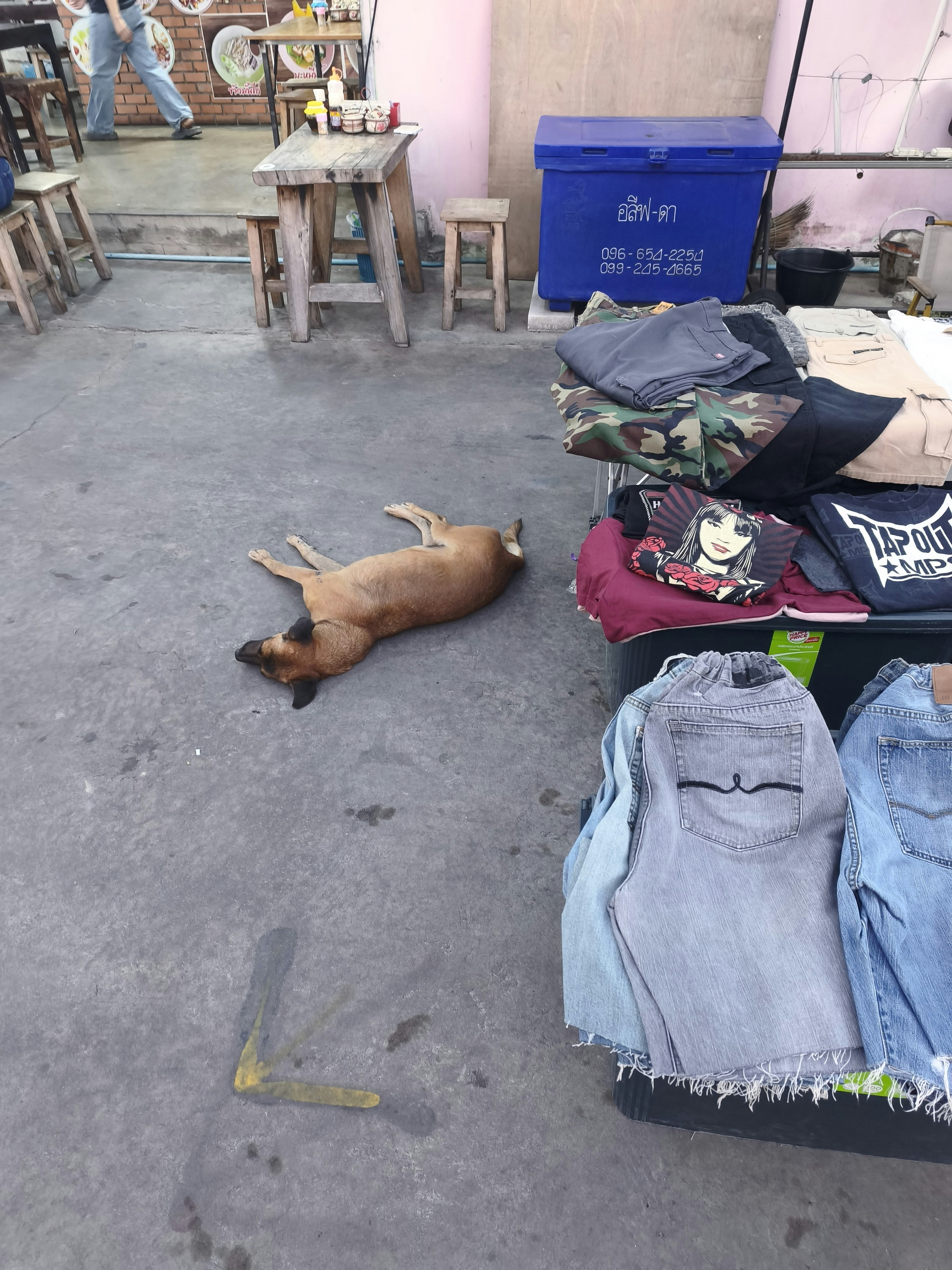 路上の犬と屋外の物品販売スペース