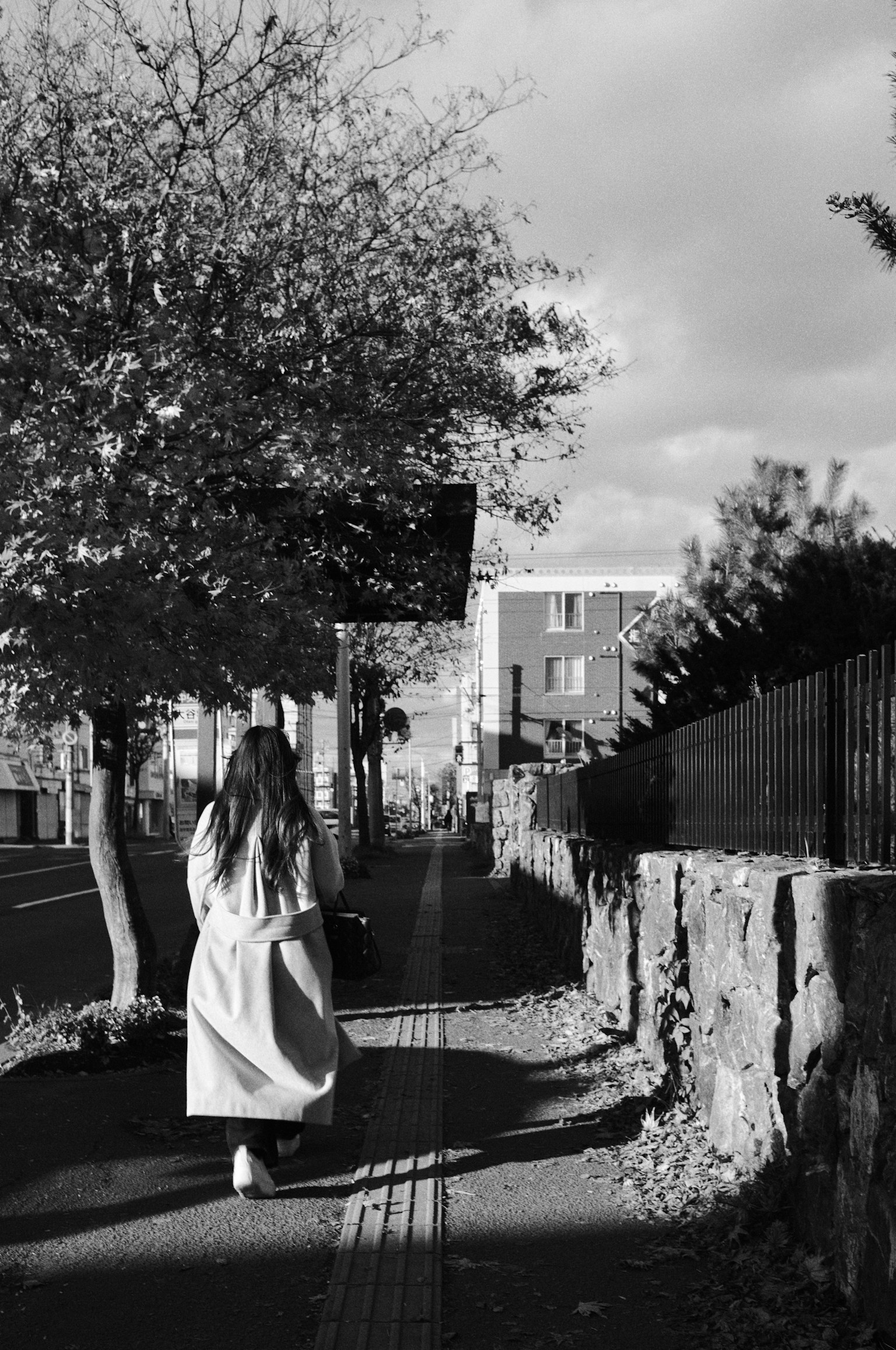 Donna che cammina su una strada in bianco e nero con la silhouette di un albero