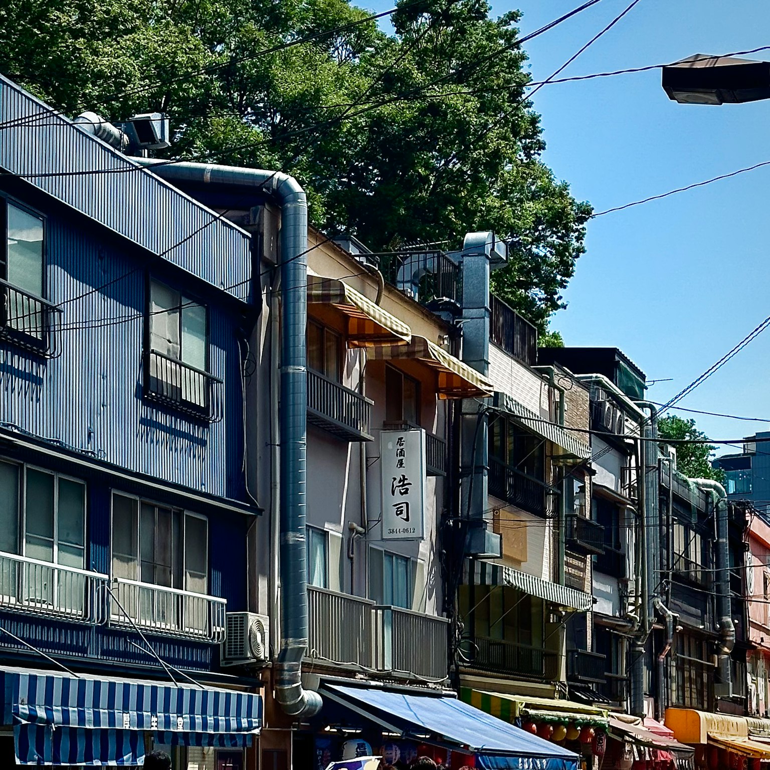 Vue de rue avec des bâtiments à l'extérieur bleu arbres verts luxuriants en arrière-plan