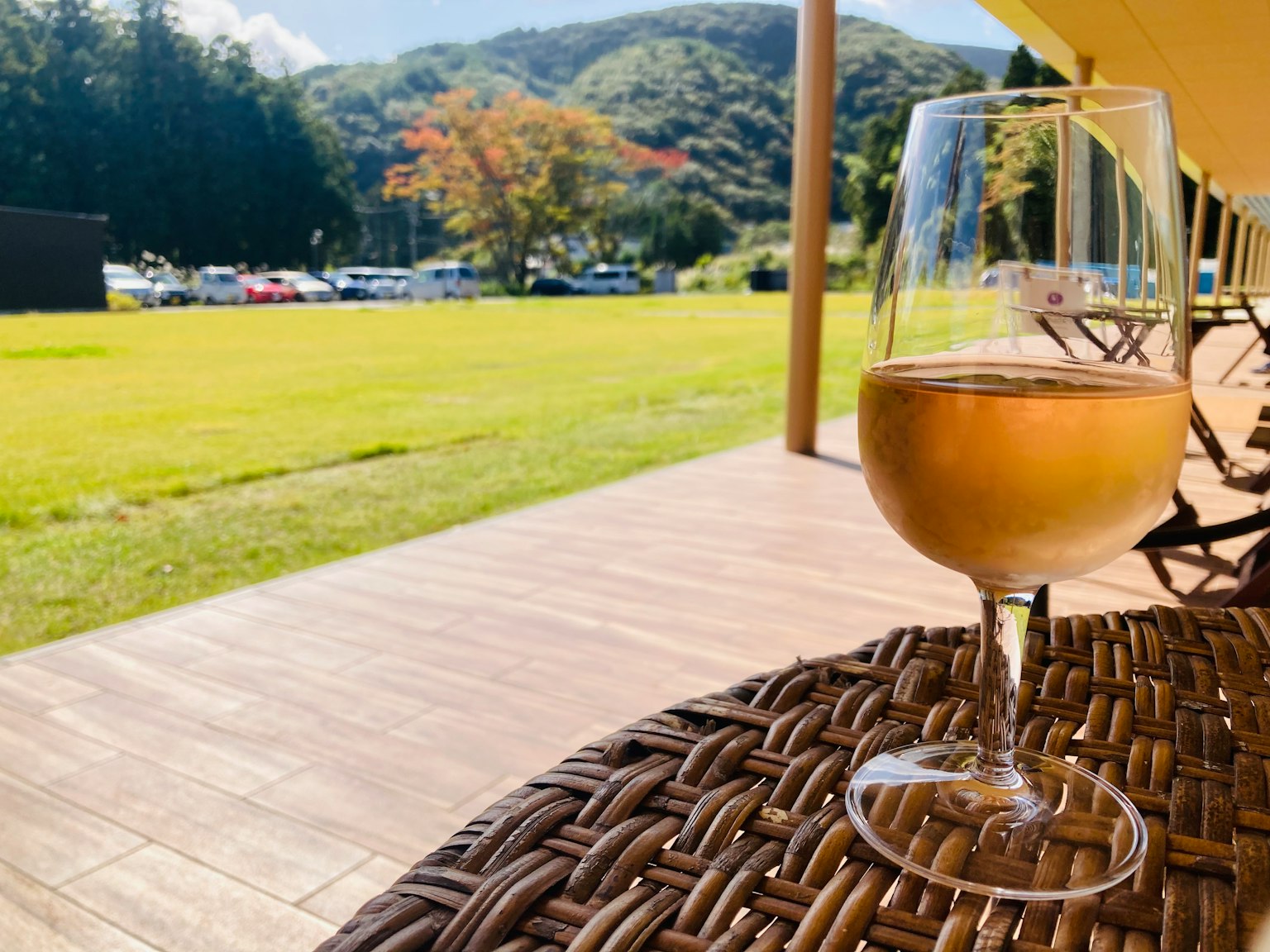 露台上的白葡萄酒杯和綠色景觀