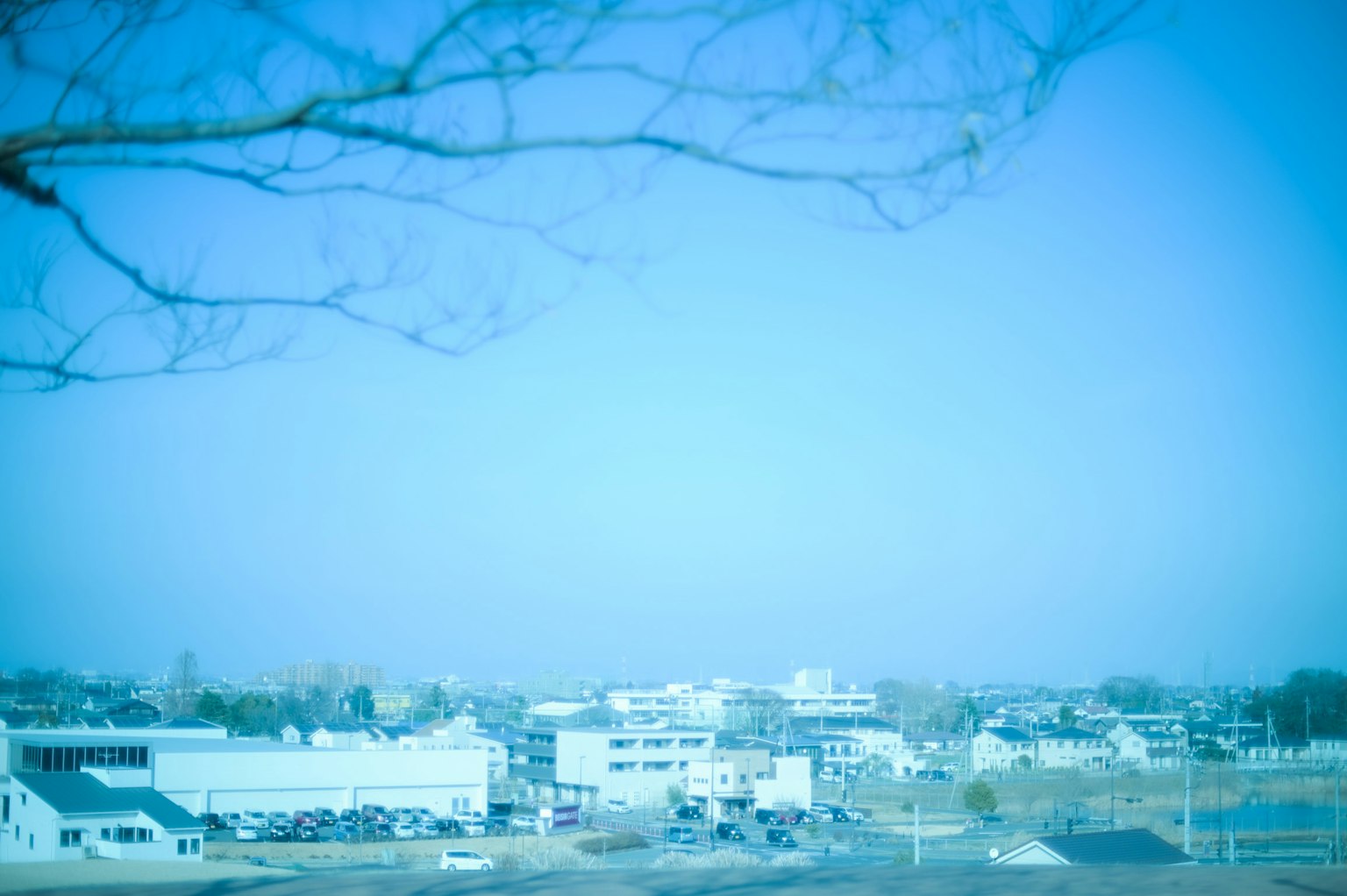 Paysage urbain sous un ciel bleu avec des branches d'arbre