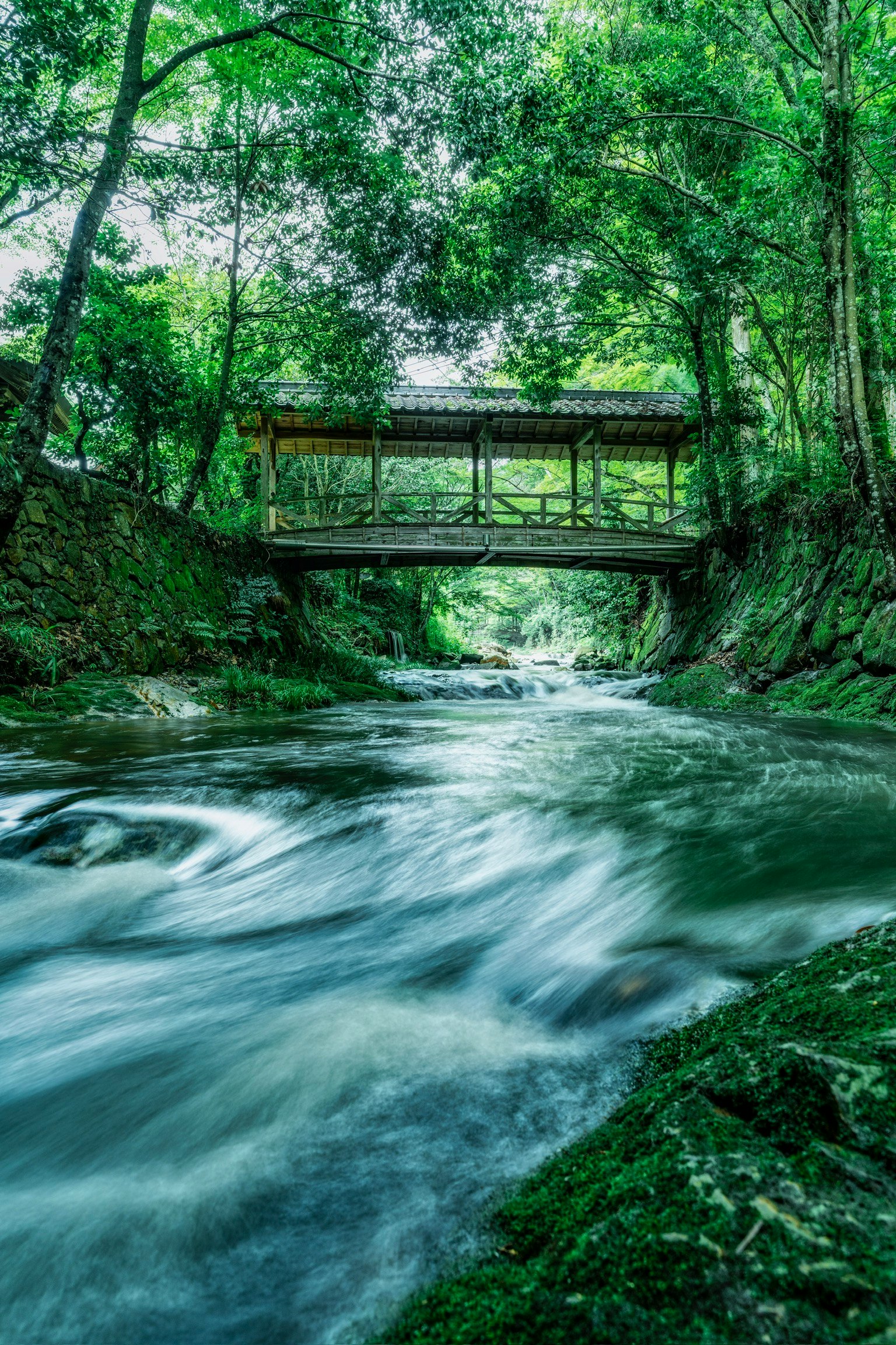 photo-SY4Rjsrppo70lAjzGfxj-image